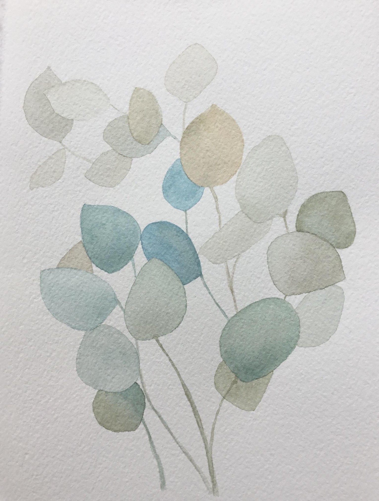Eucalyptus Leaves - image 2 - student project