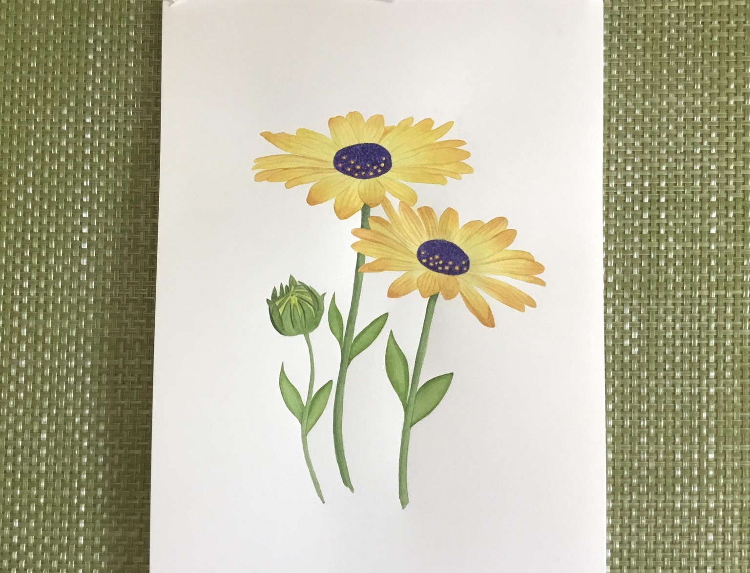 Watercolor Botanicals - image 1 - student project