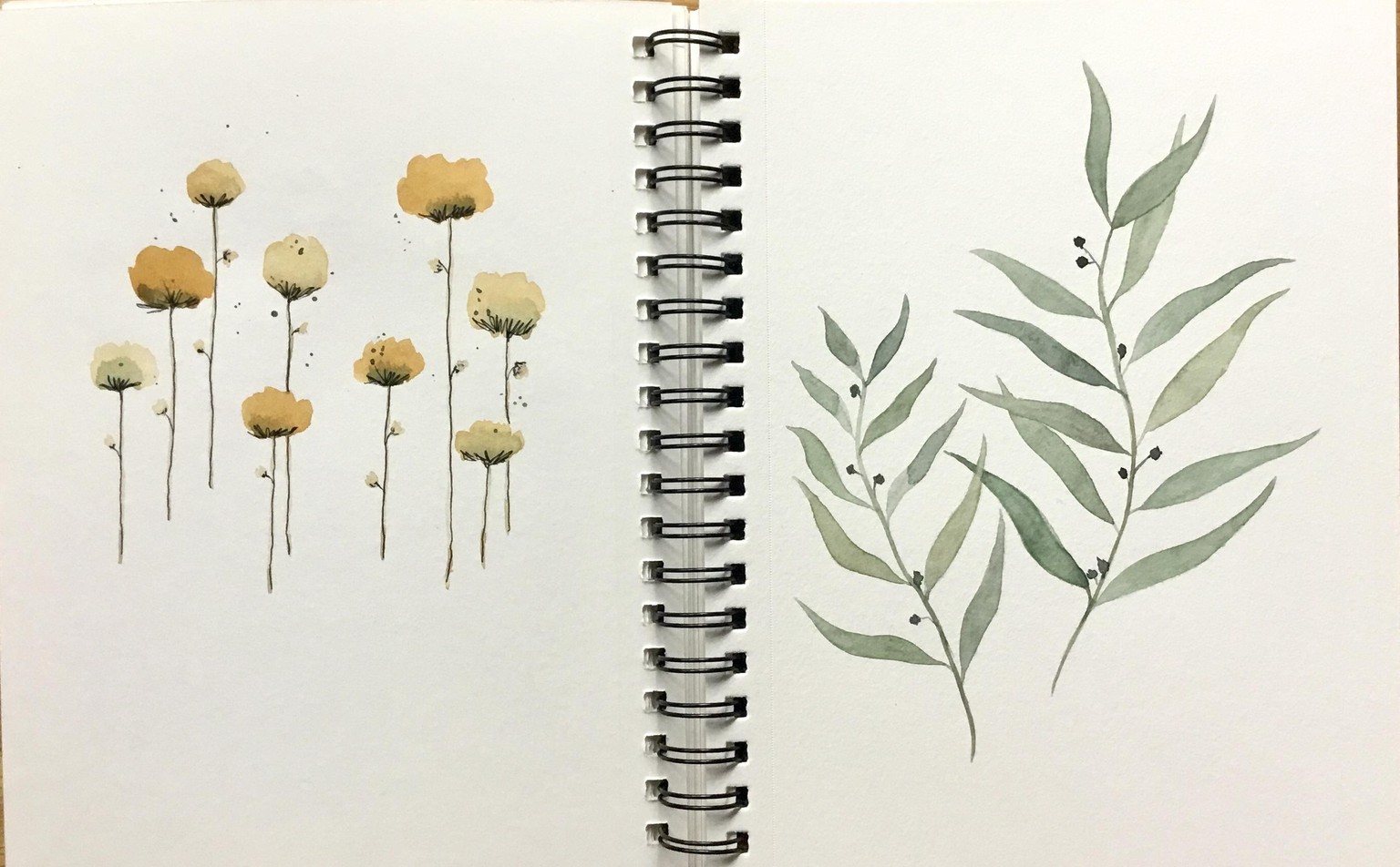 Watercolor Botanicals - image 2 - student project