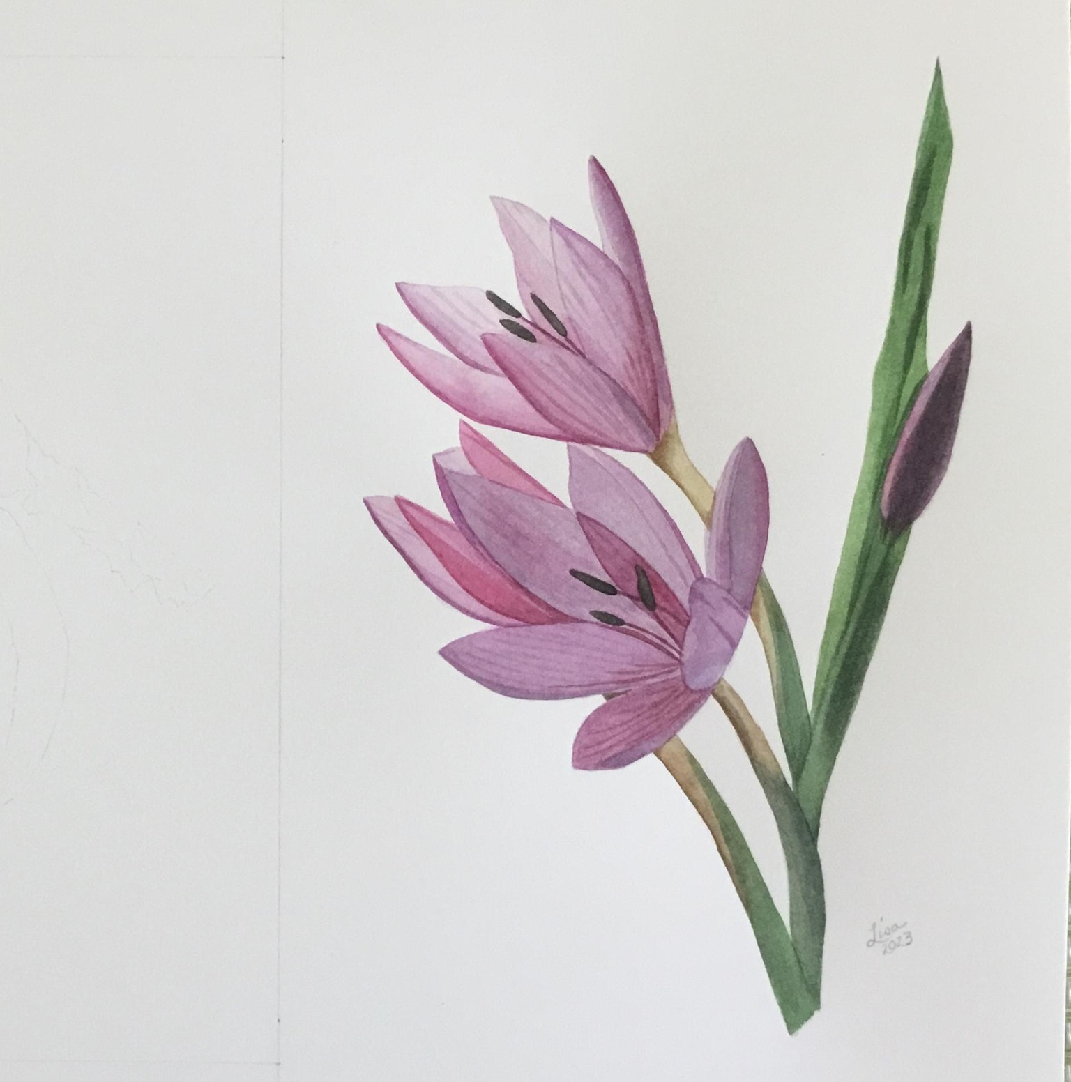 Watercolor Botanicals - image 2 - student project
