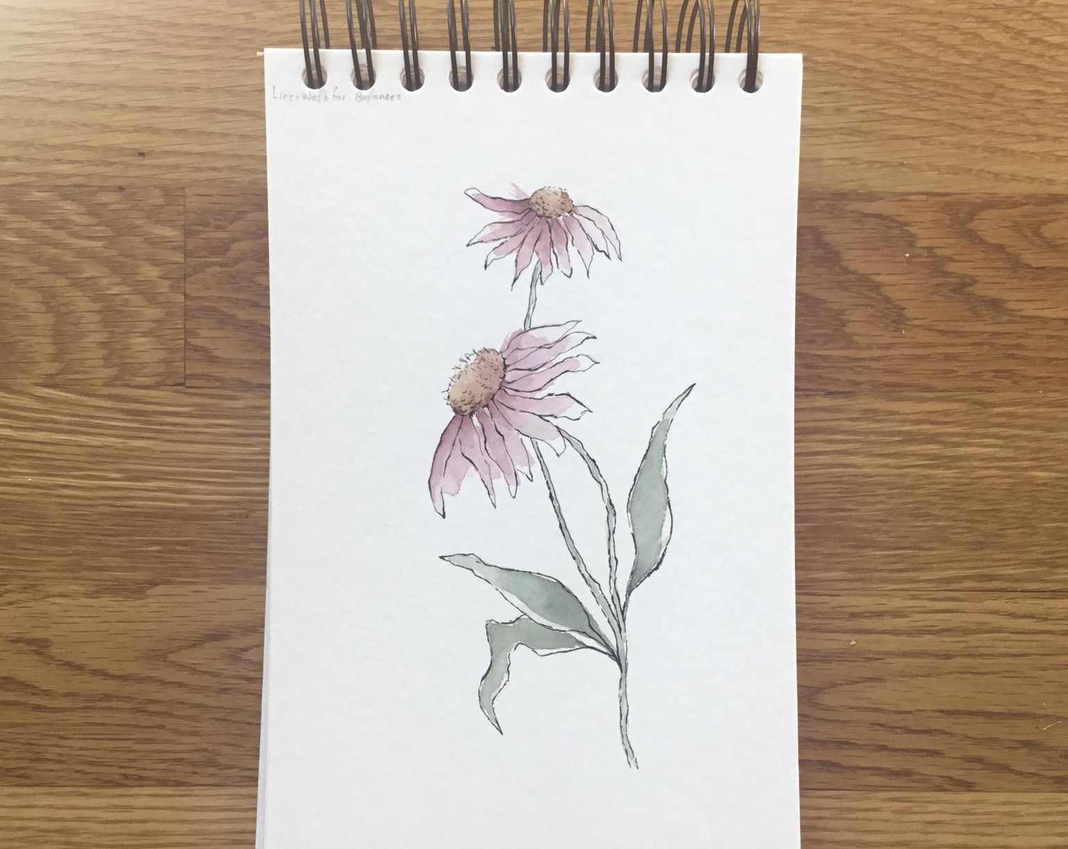 Line and Wash Florals - image 2 - student project