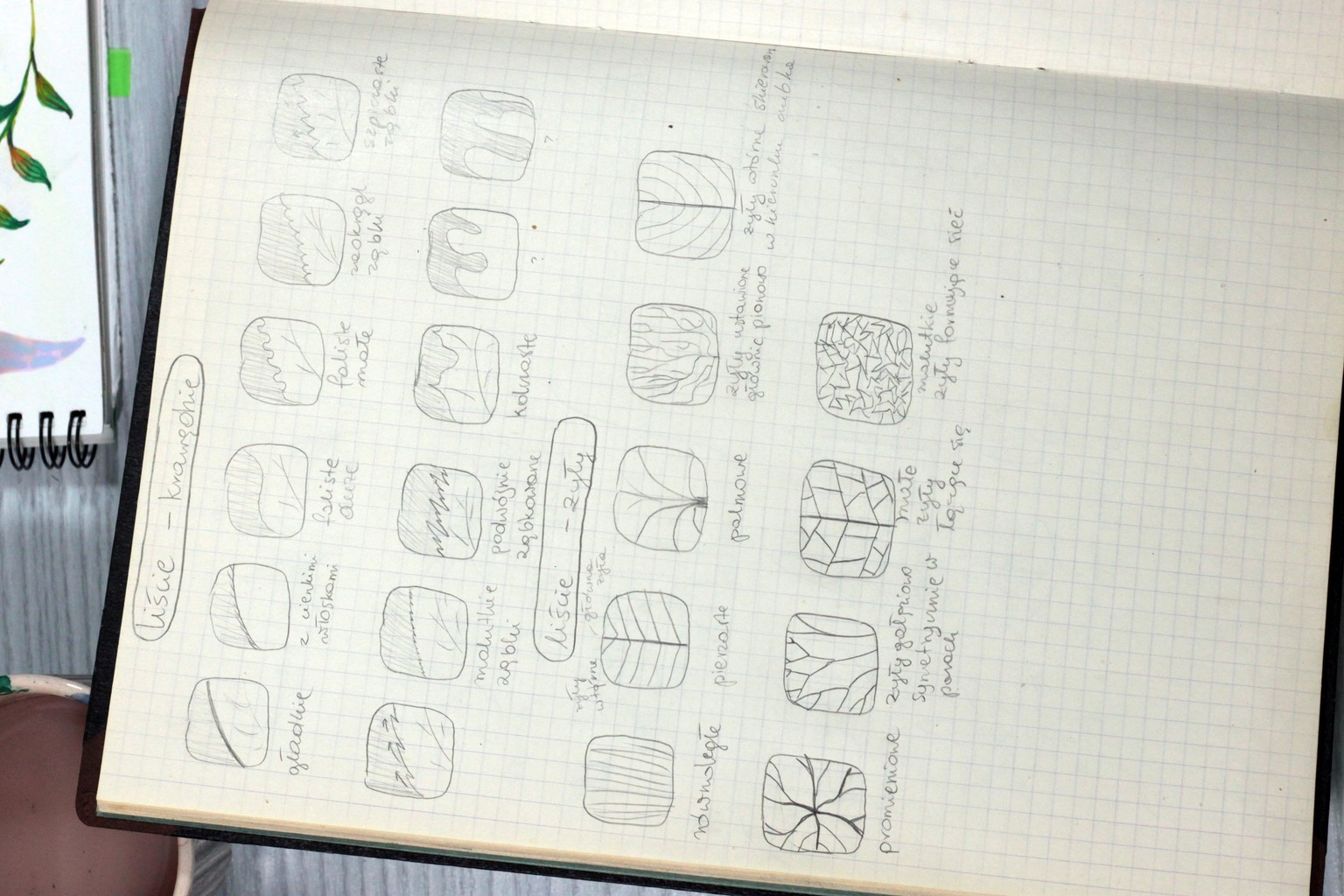 Experimenting - image 4 - student project