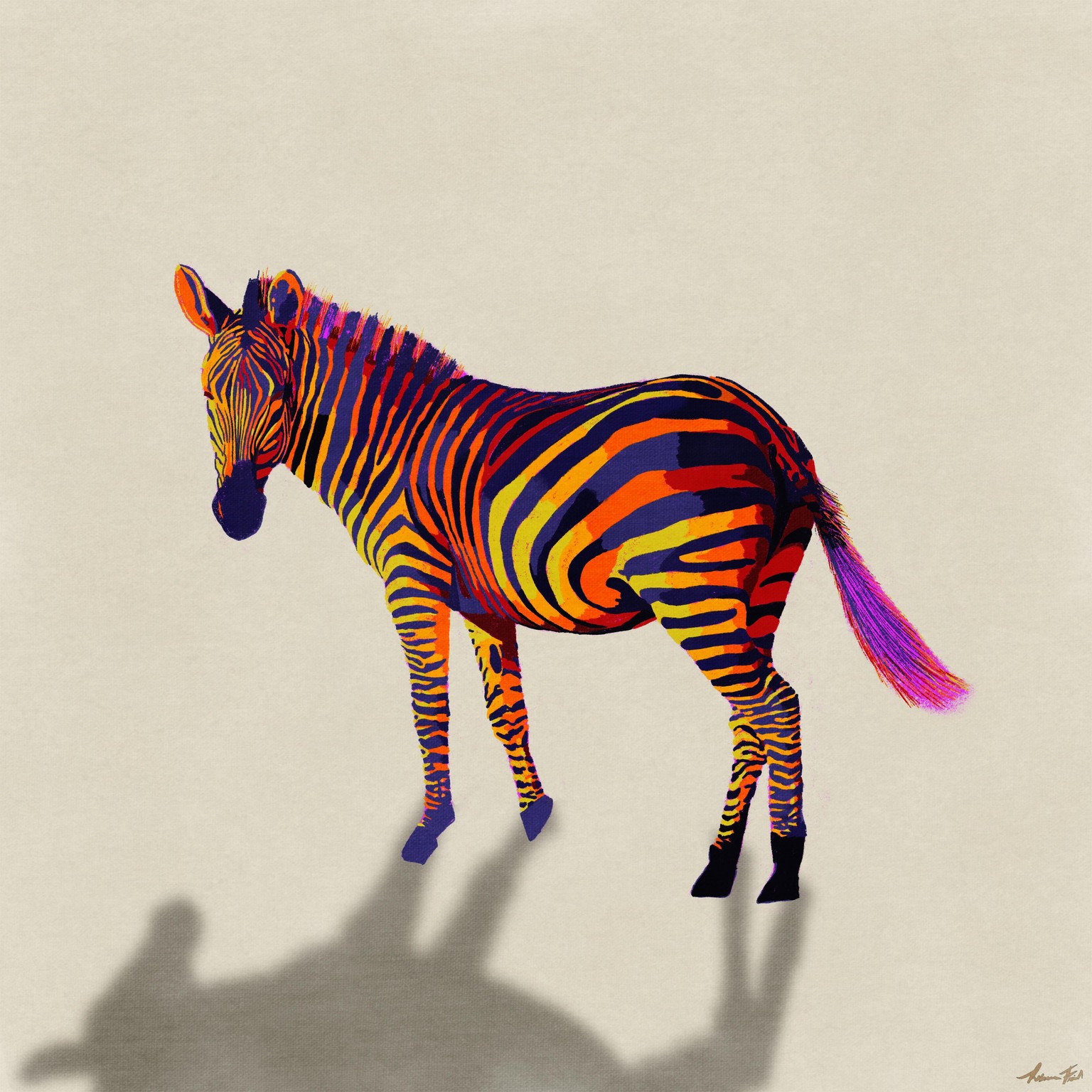 Zebra - image 1 - student project