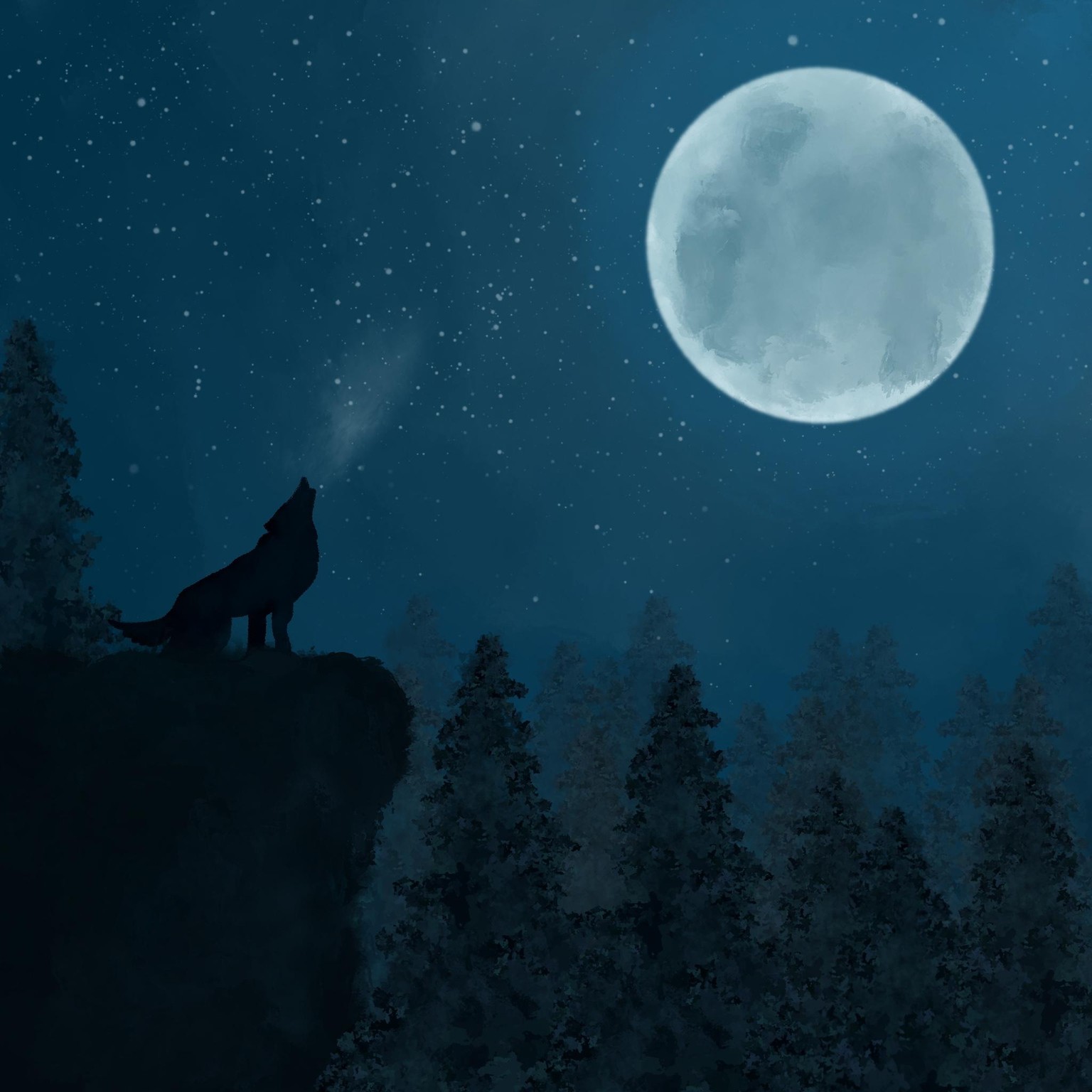 night - image 1 - student project
