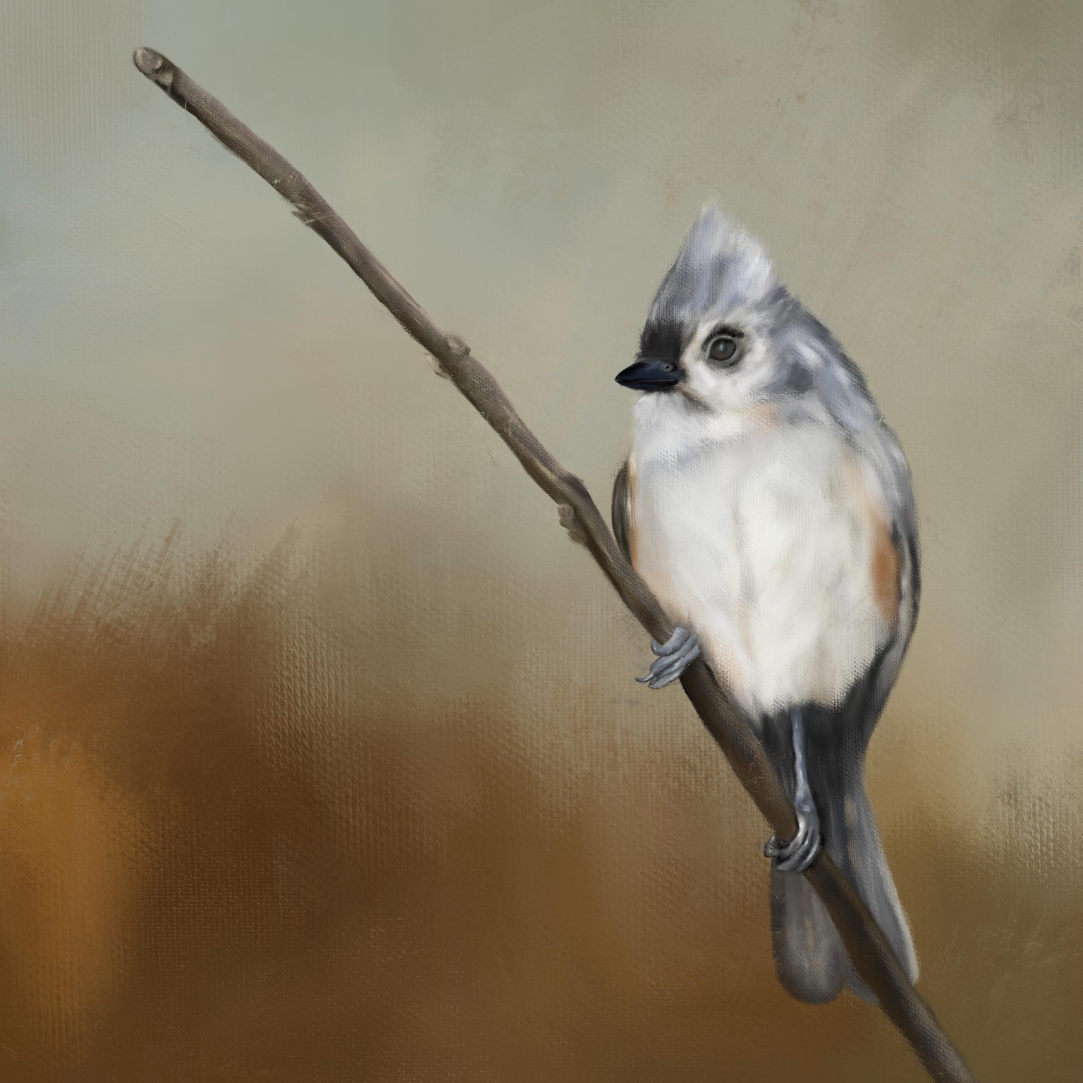 Song Bird - image 1 - student project