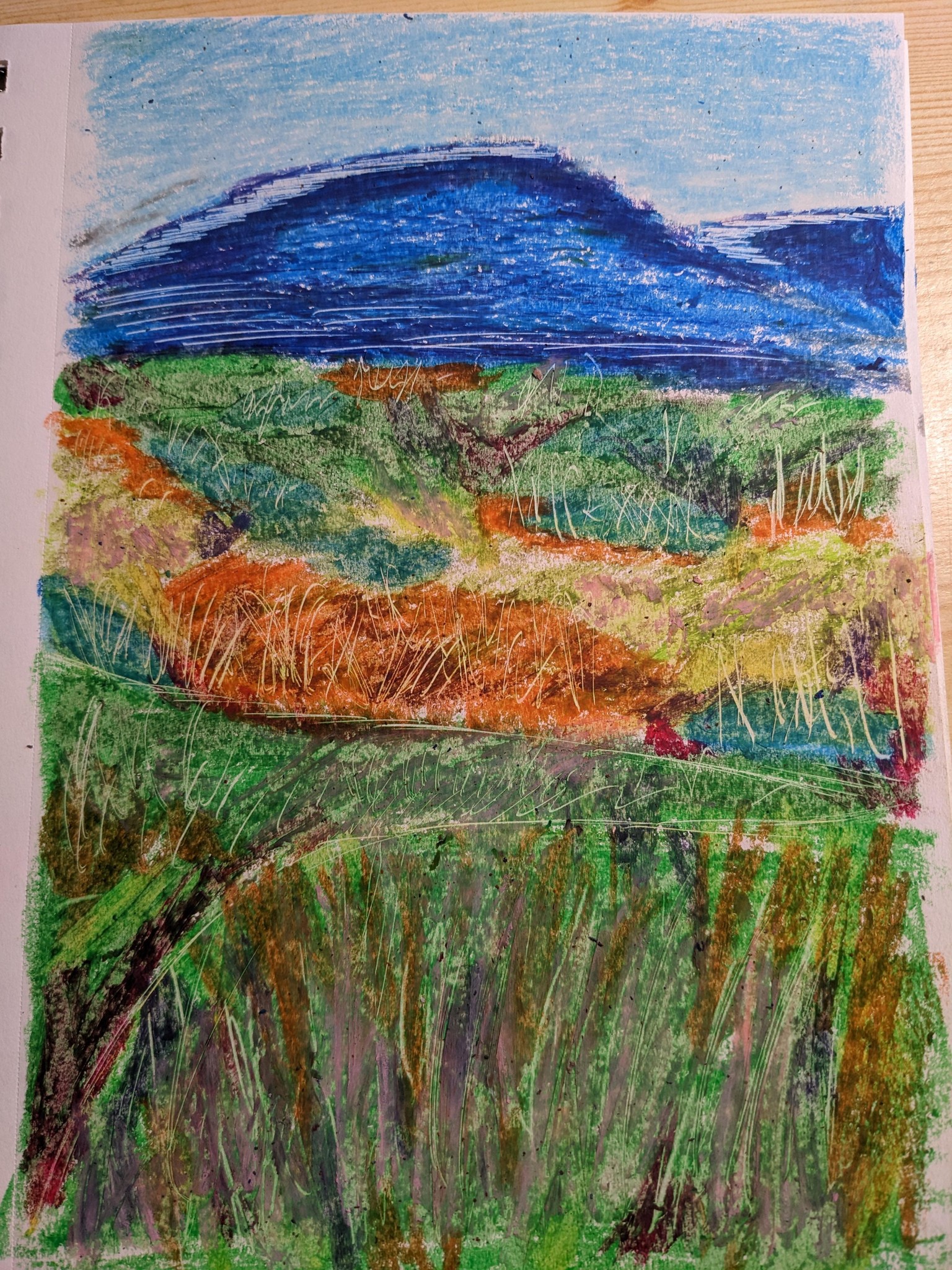 Landscape: Oil Pastels, Scratching Technique - image 1 - student project