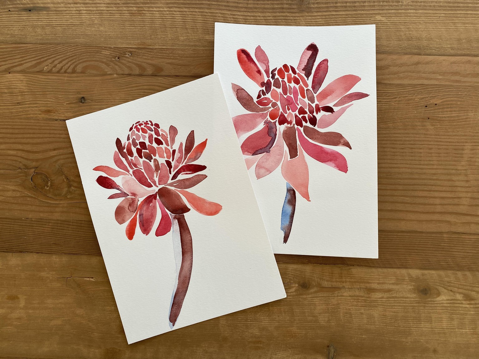 Torch Ginger Practice - image 3 - student project