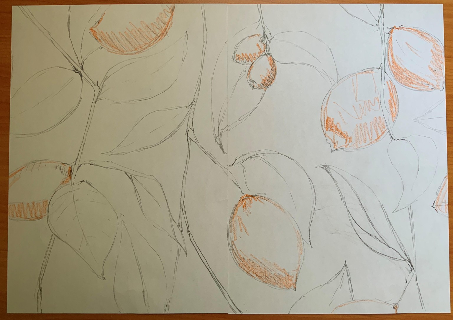 Lemon Drops - image 1 - student project