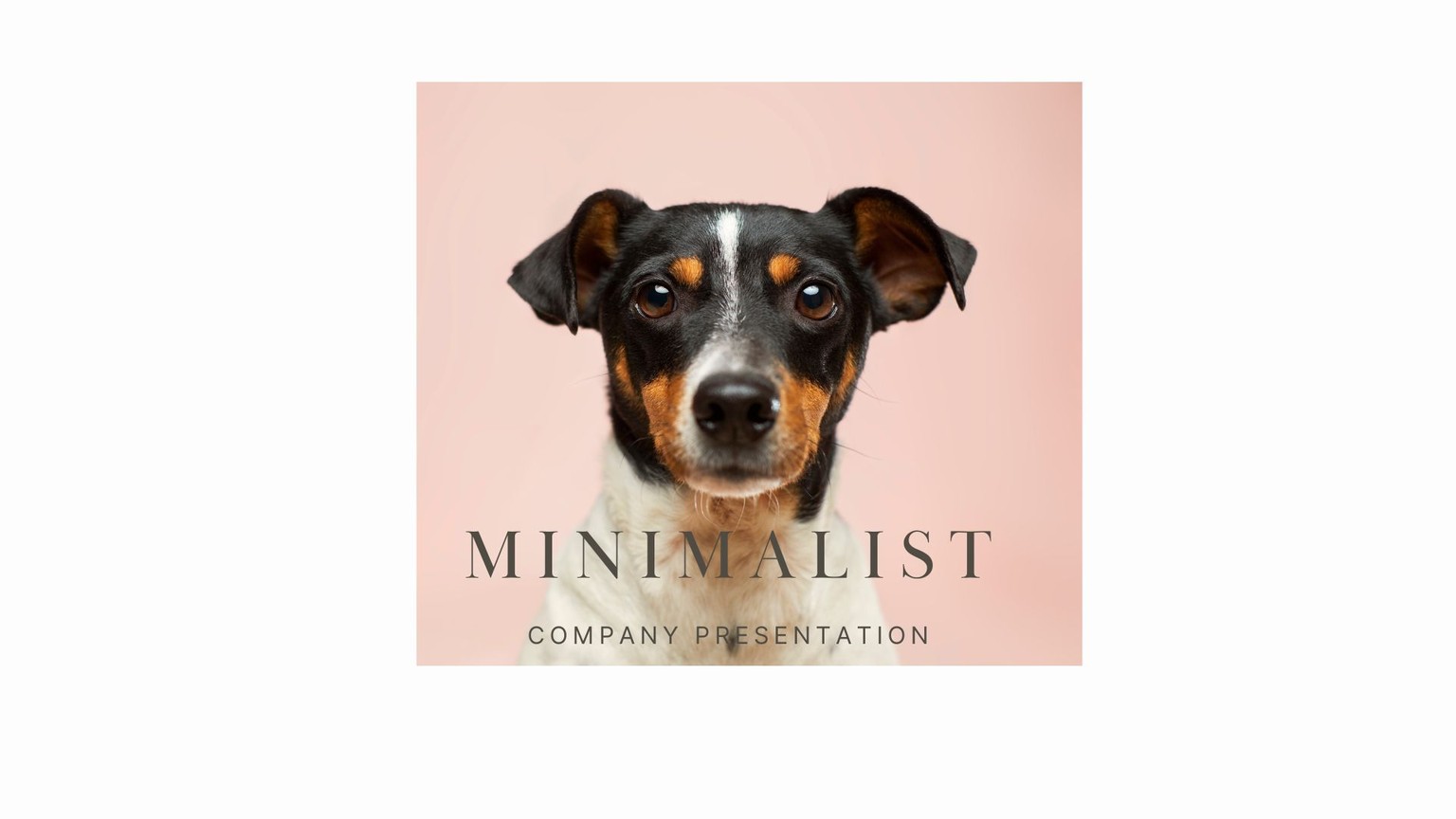 image using unsplash and canva - image 1 - student project