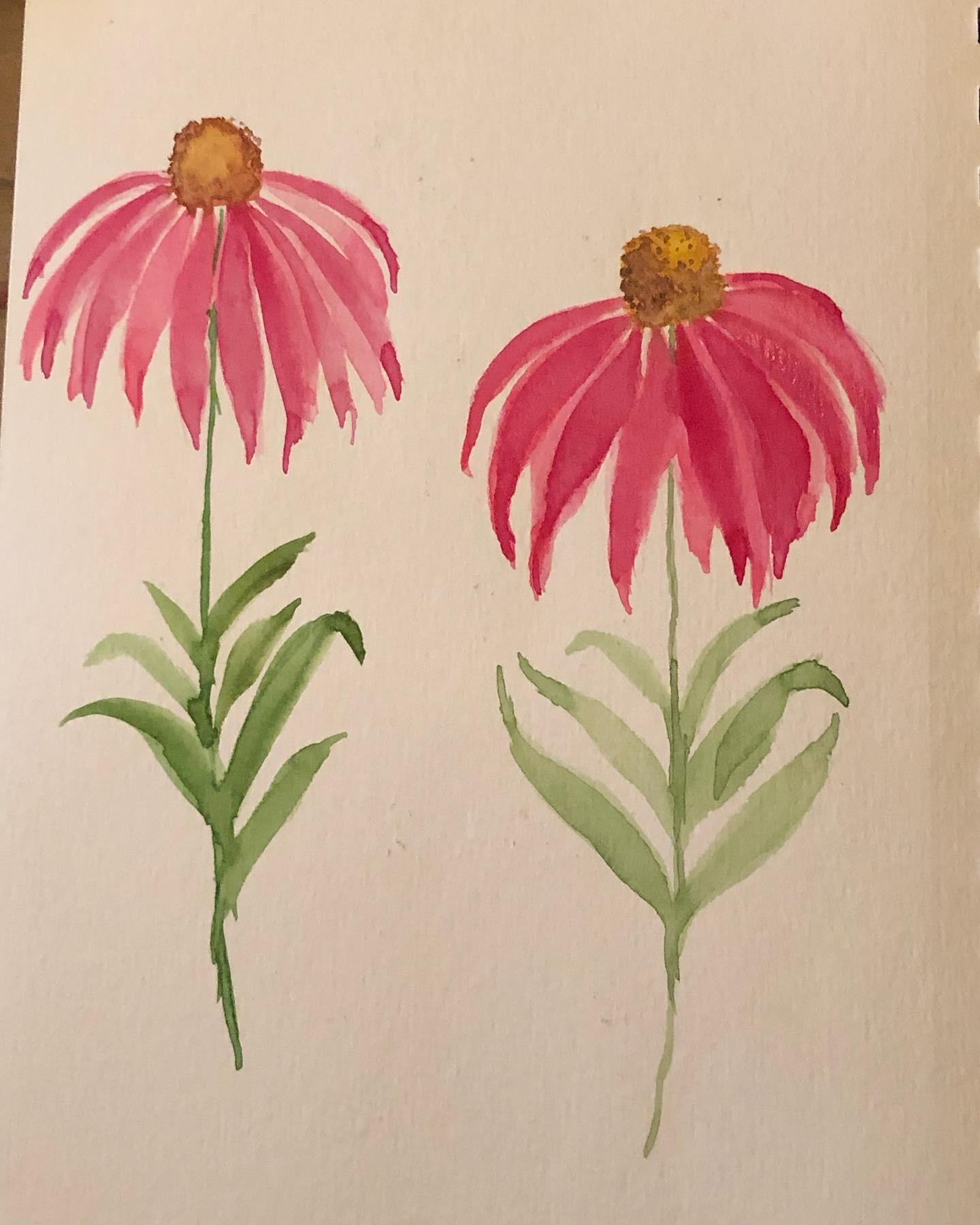 Flowers - image 1 - student project
