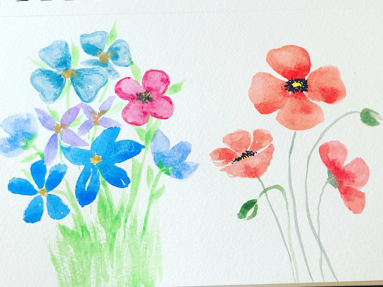 Flowers - image 2 - student project
