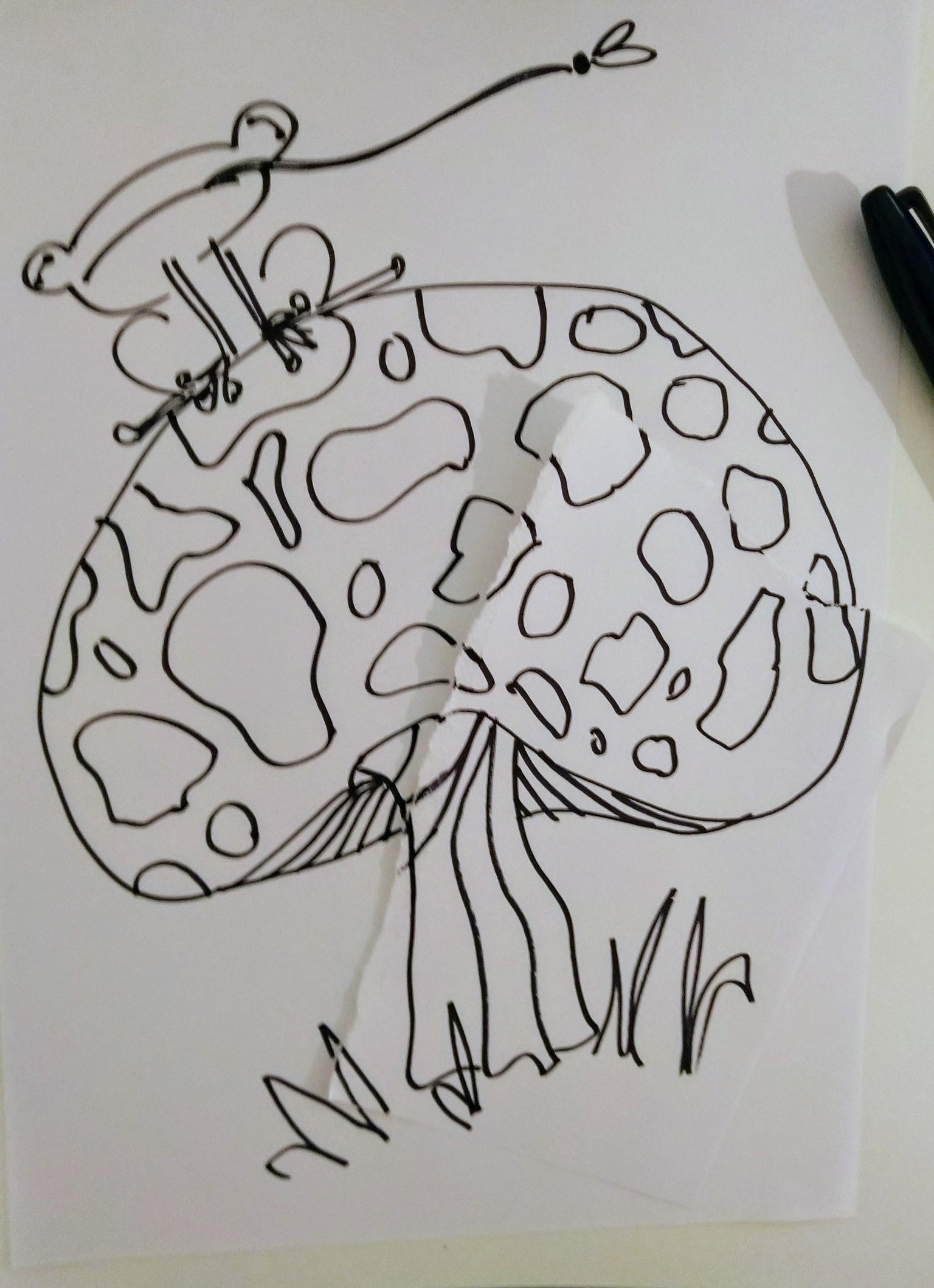 Three exercises :) - image 7 - student project