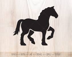 Clydesdale - image 2 - student project