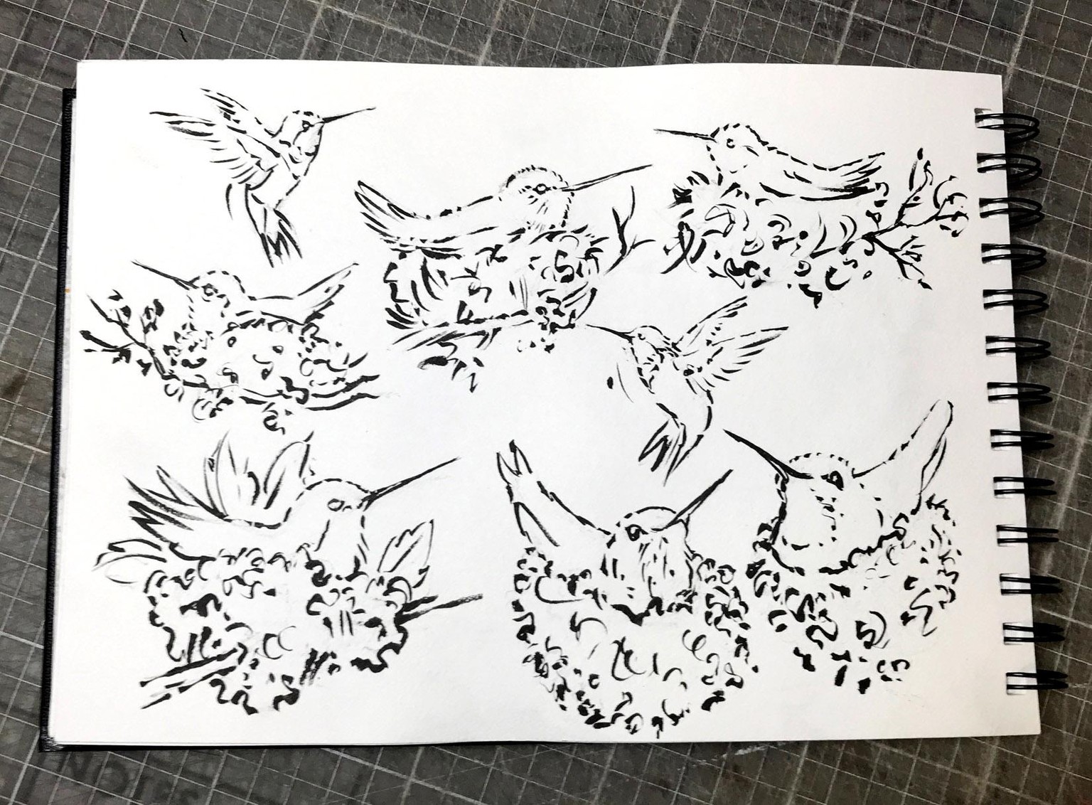 The Hummingbirds are Here! - image 1 - student project