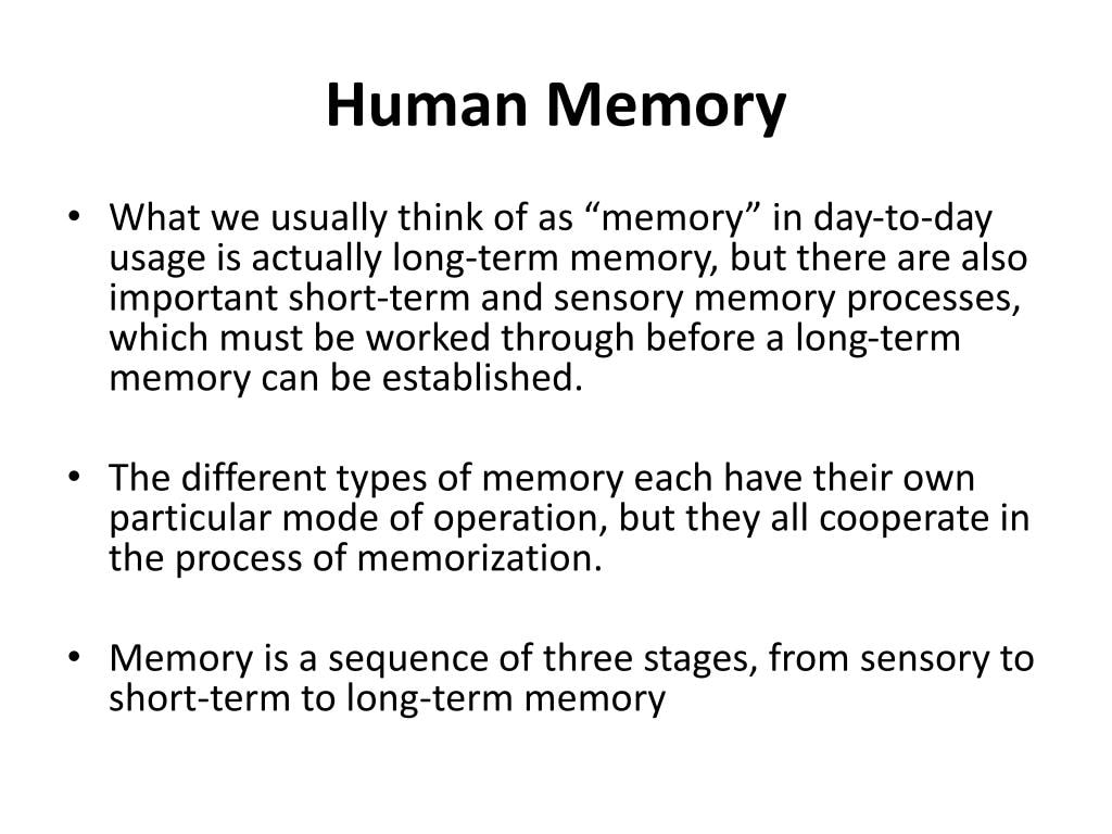 Human Memory - image 1 - student project