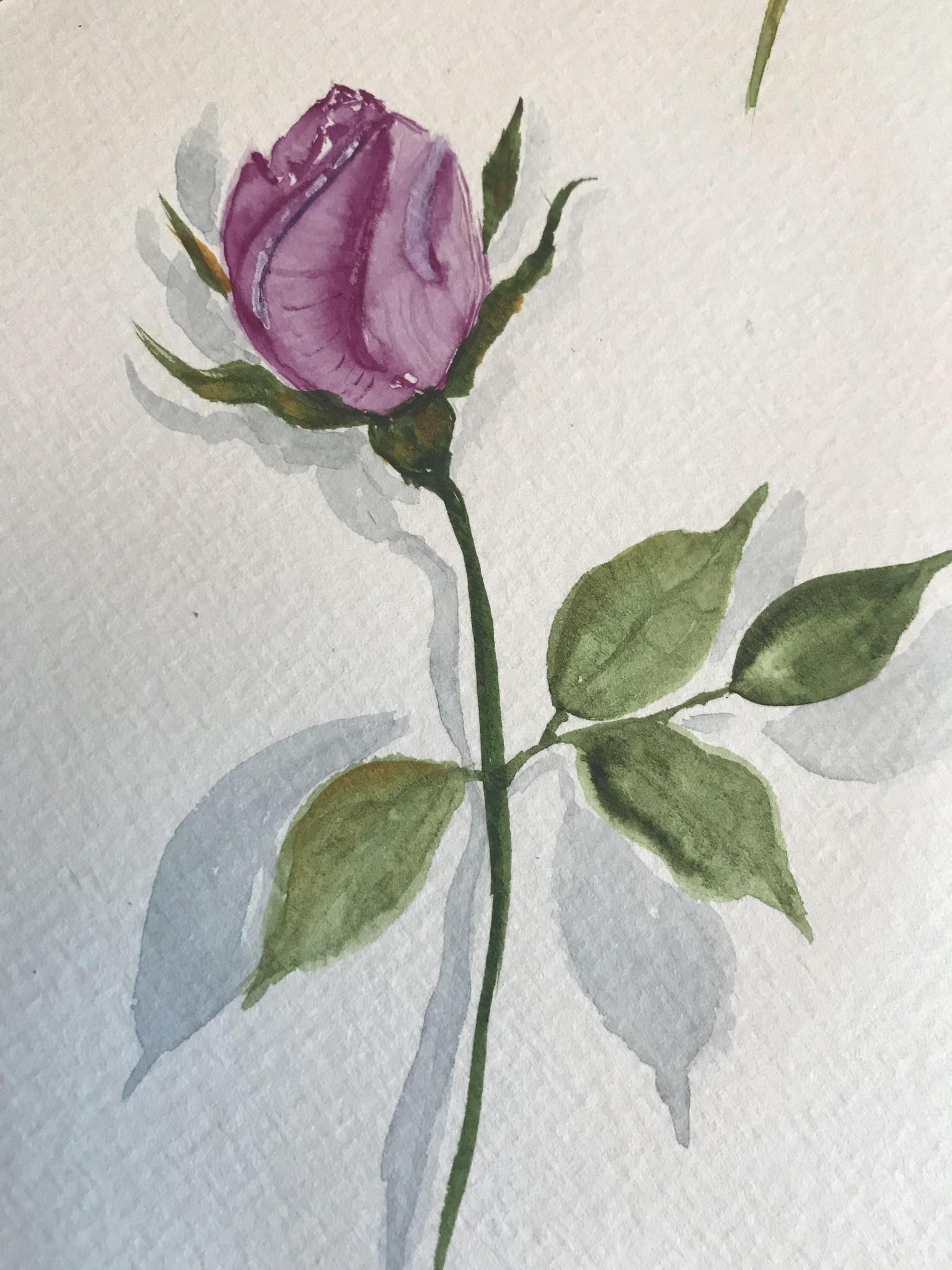 Free hand rose bud - image 1 - student project