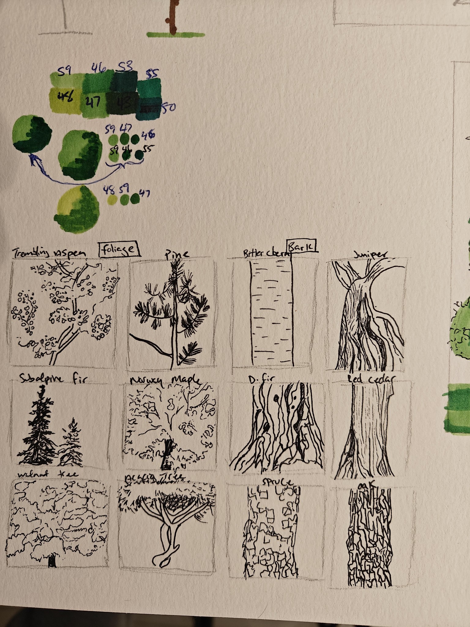 Tree with Alcohol Markers - image 2 - student project