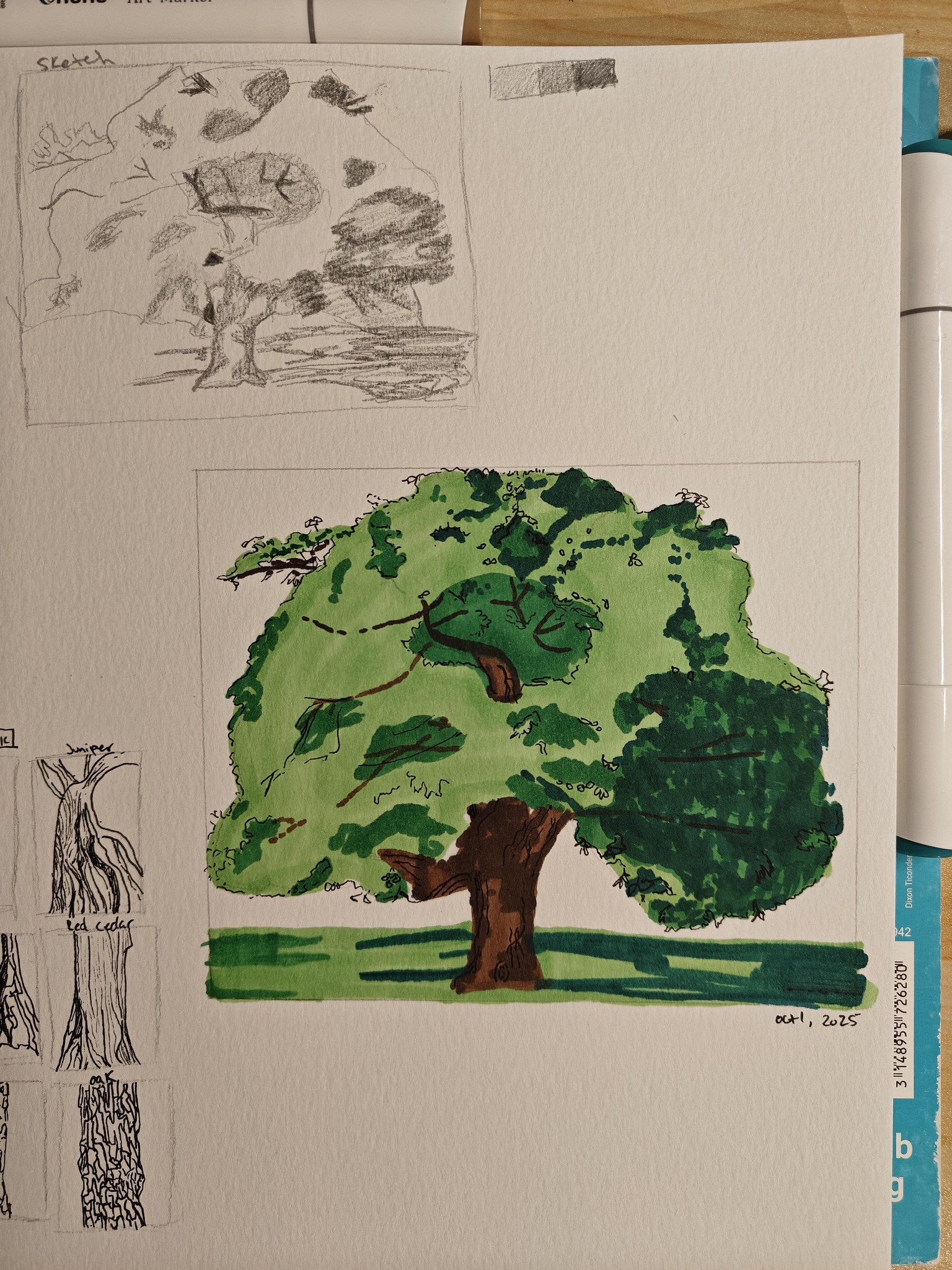 Tree with Alcohol Markers - image 3 - student project