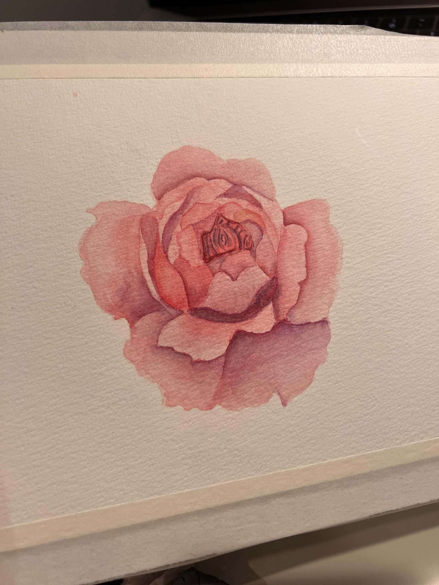 Realistic Rose in Watercolor - image 2 - student project