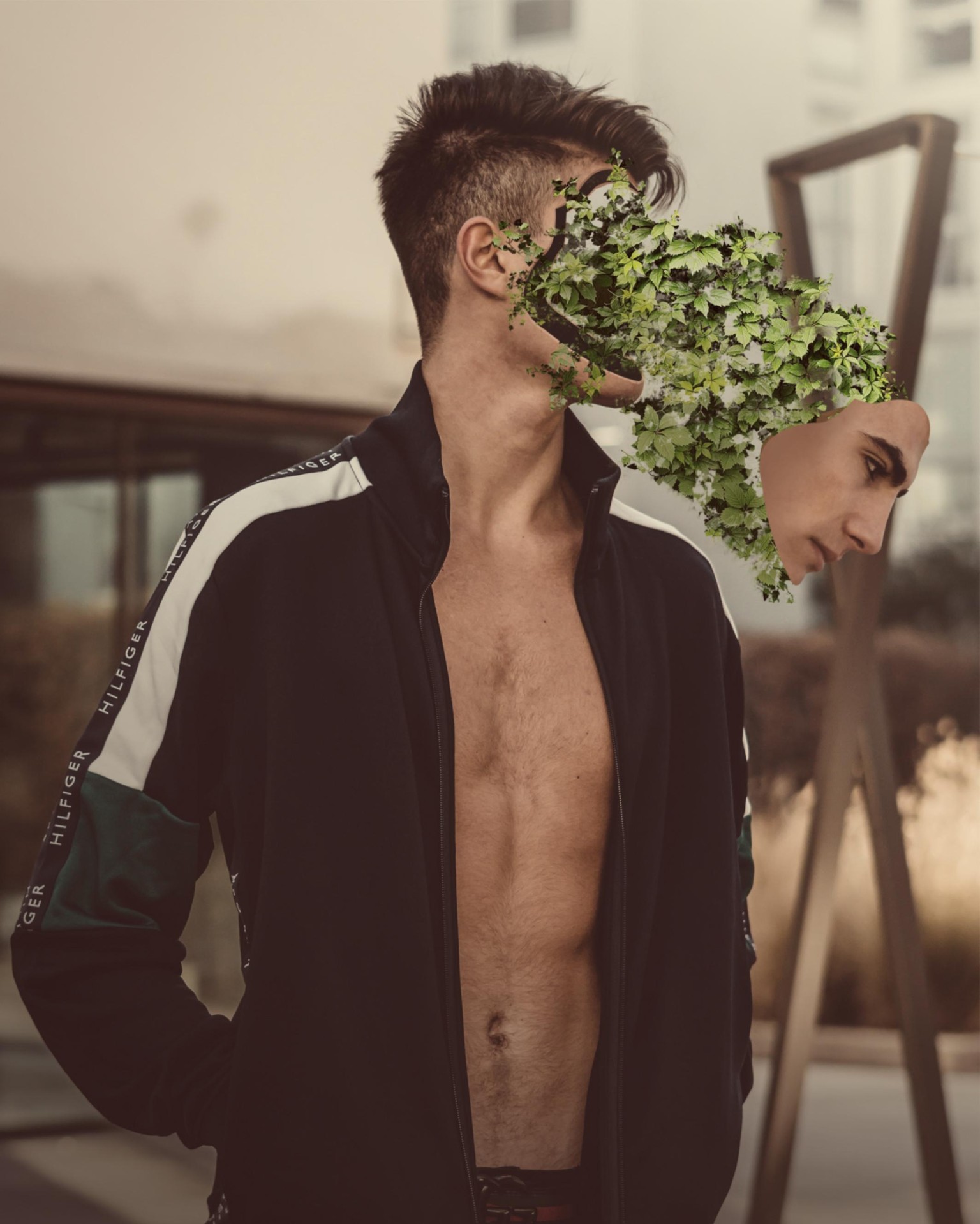 Vine Faces - image 1 - student project