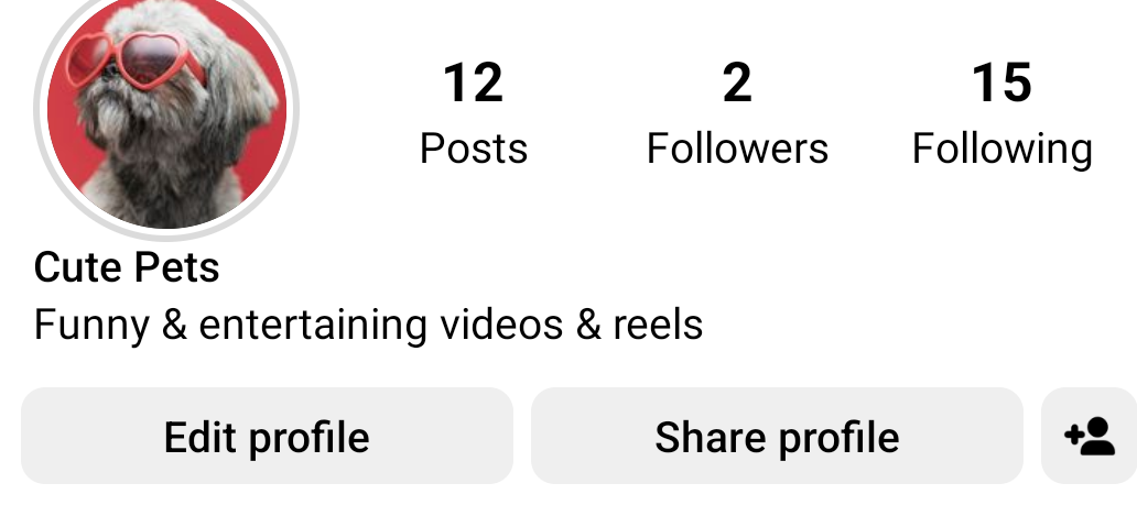 My Instagram account - image 1 - student project
