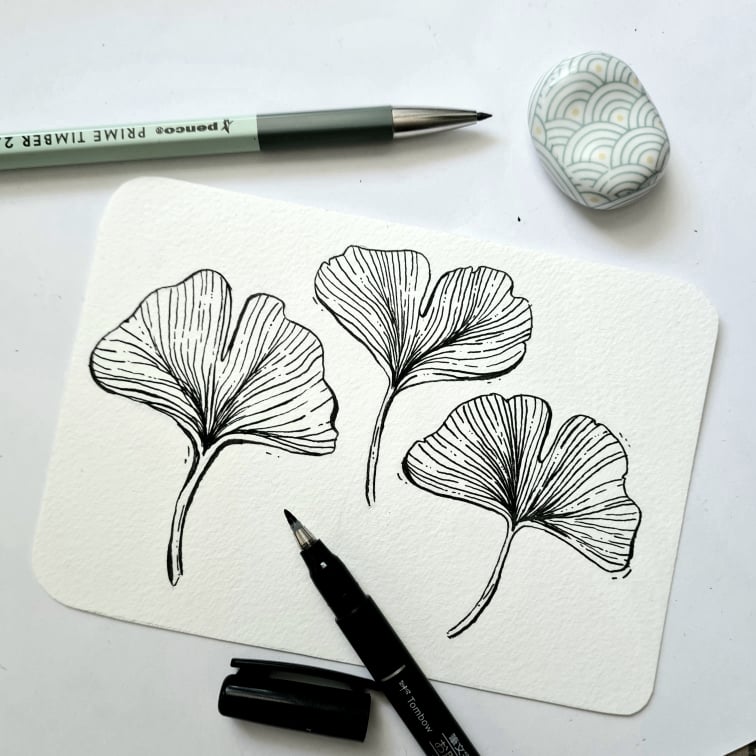 Ginkgo hand drawn line art - image 1 - student project