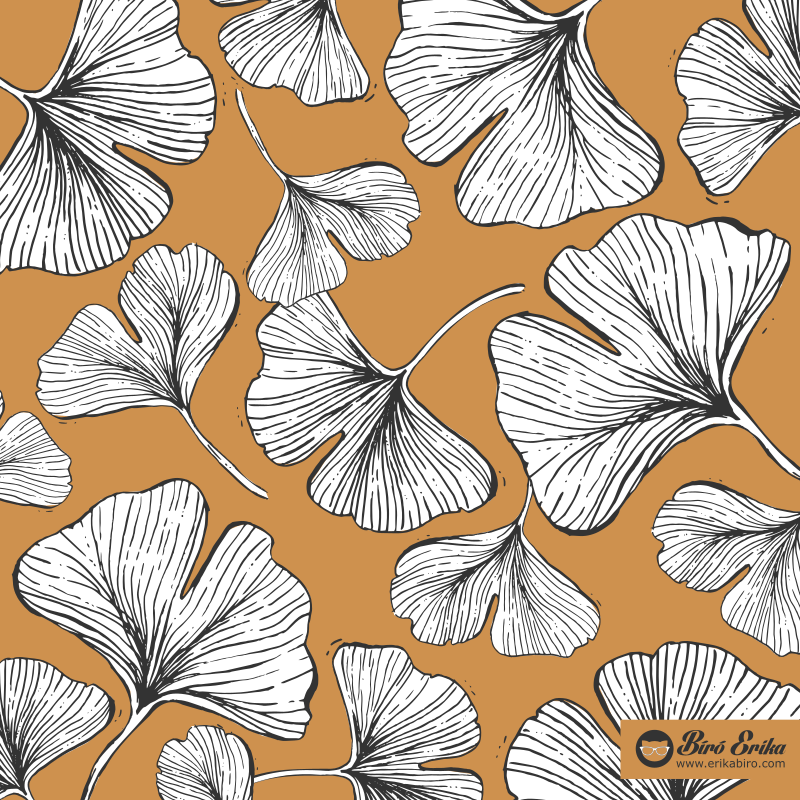Ginkgo hand drawn line art - image 3 - student project