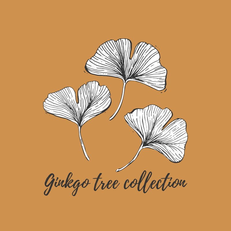 Ginkgo hand drawn line art - image 2 - student project