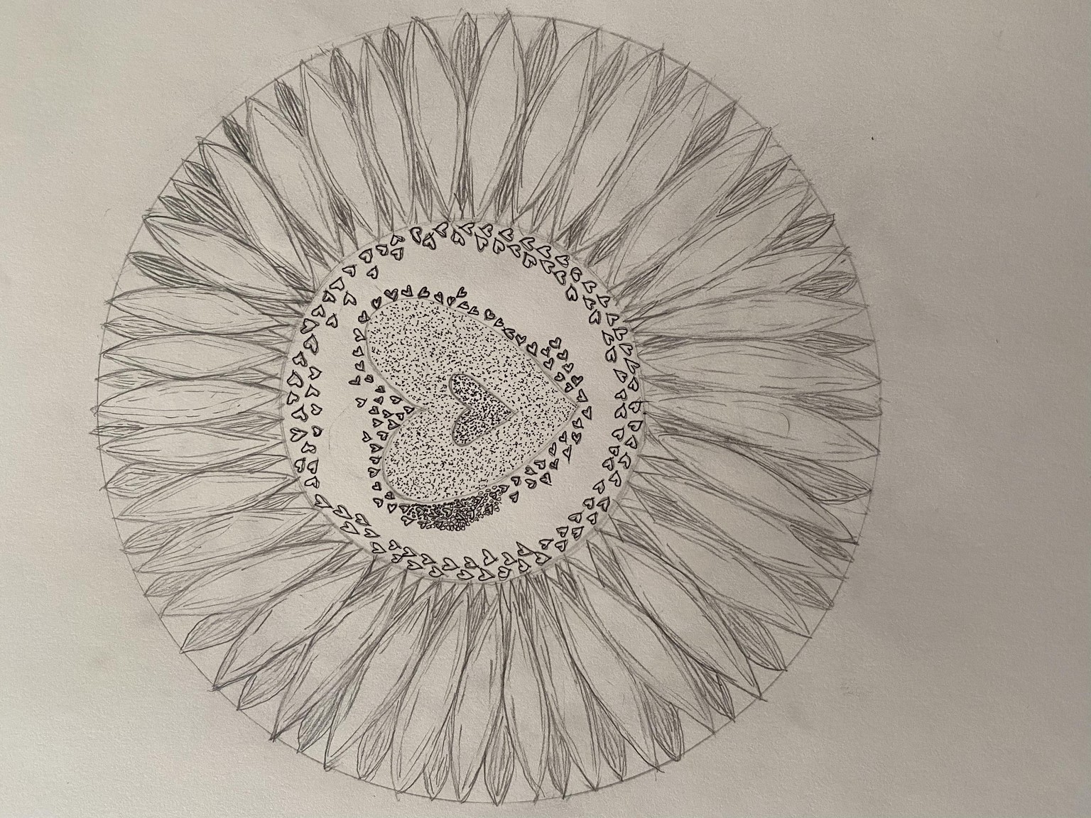 For the Love of Sun and flowers - image 1 - student project
