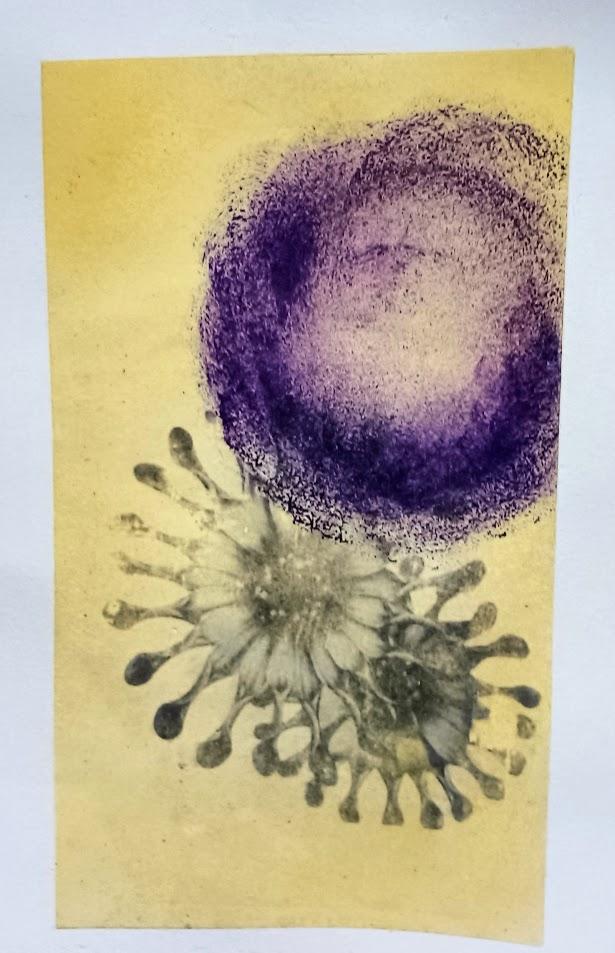 Playing with Photo Transfer - Blooms - image 3 - student project