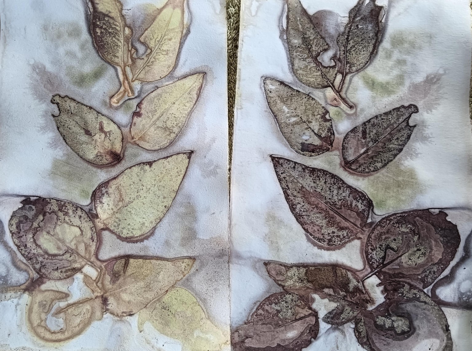 Botanical prints - image 6 - student project