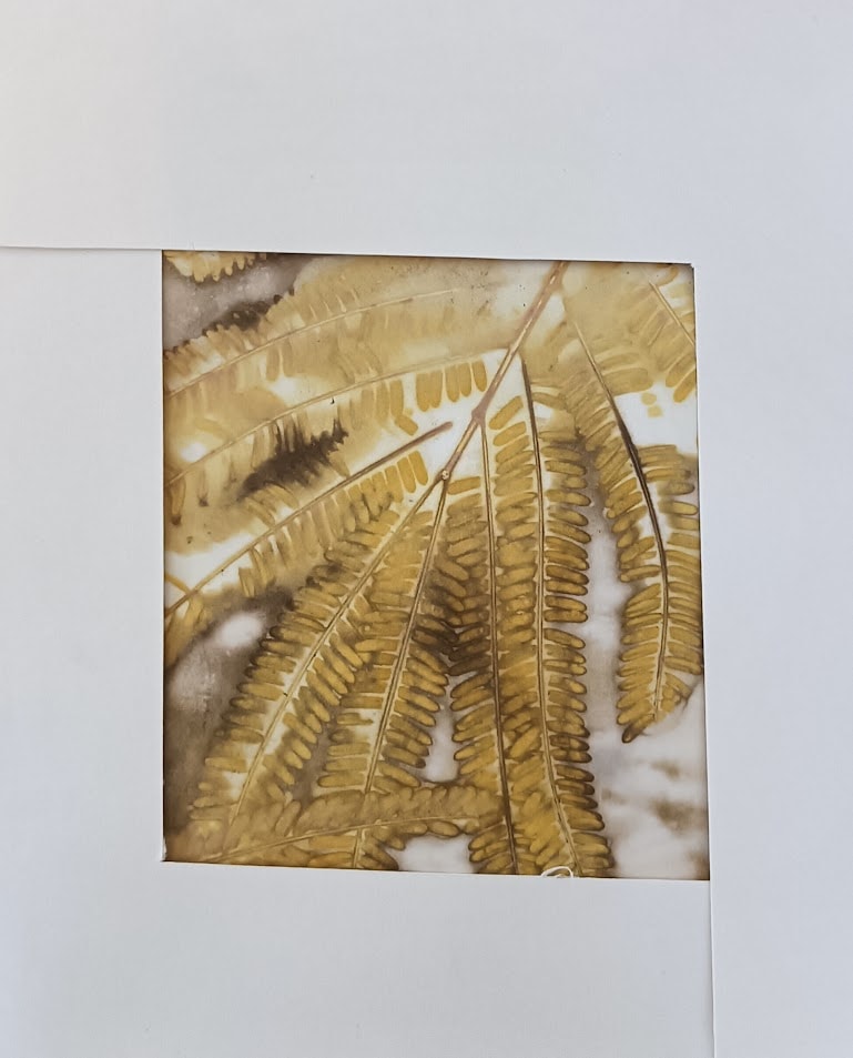Using the viewfinder - image 8 - student project