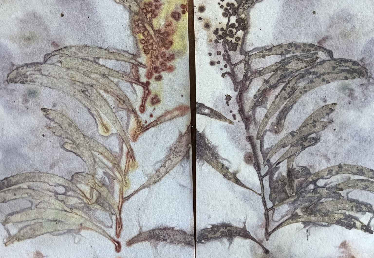 Botanical prints - image 5 - student project