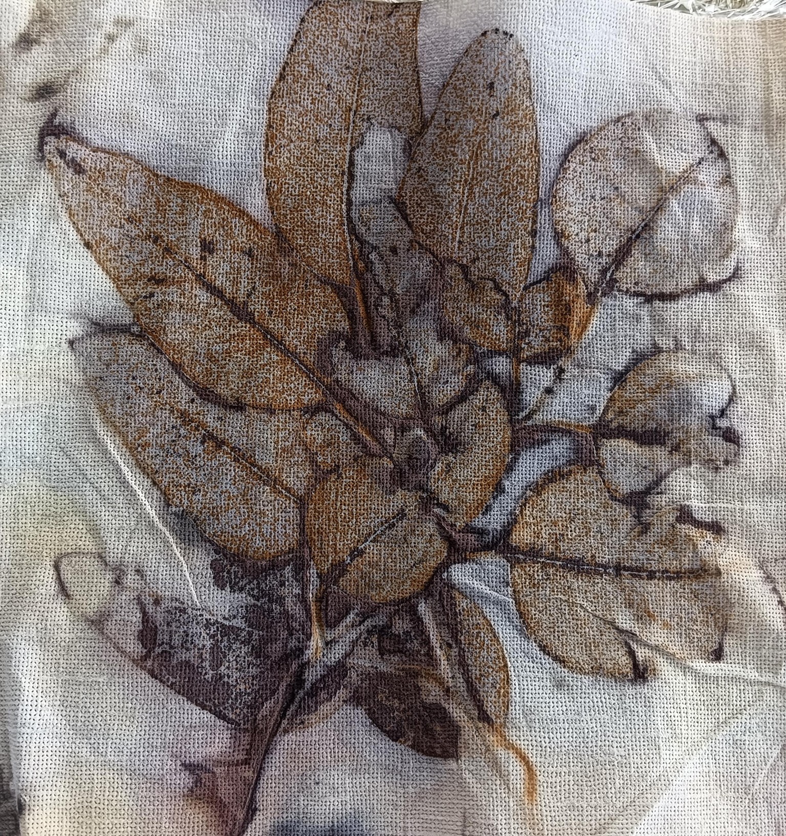 Botanical prints - image 7 - student project