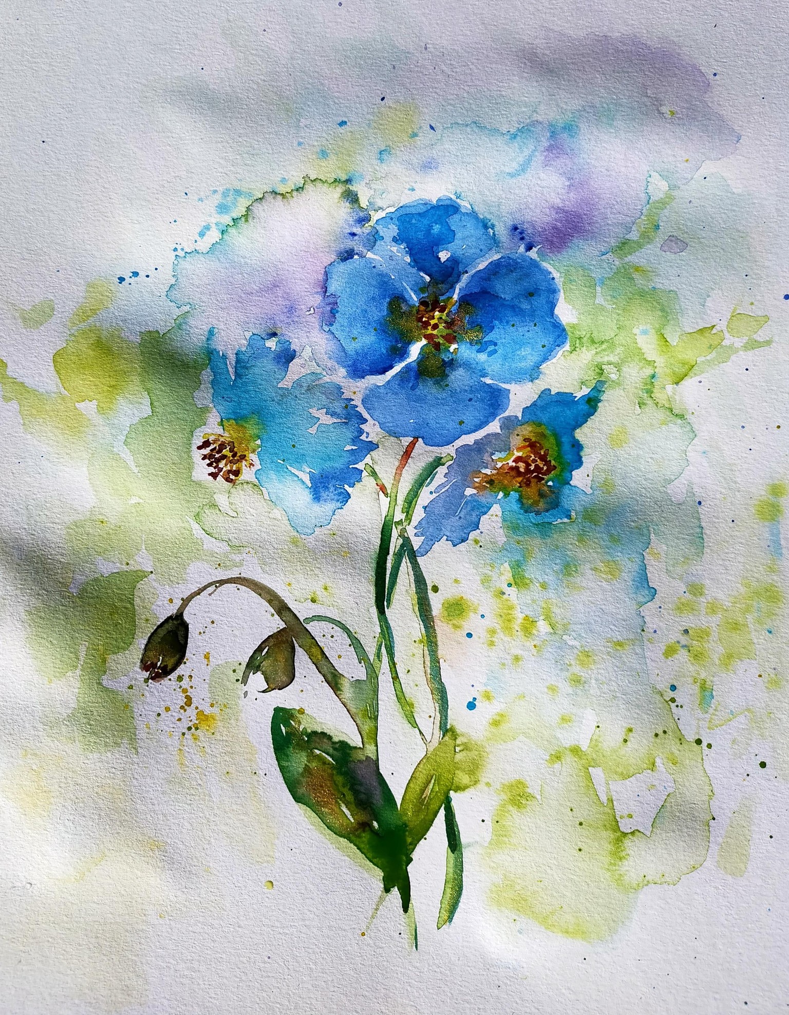 Flowers - image 7 - student project