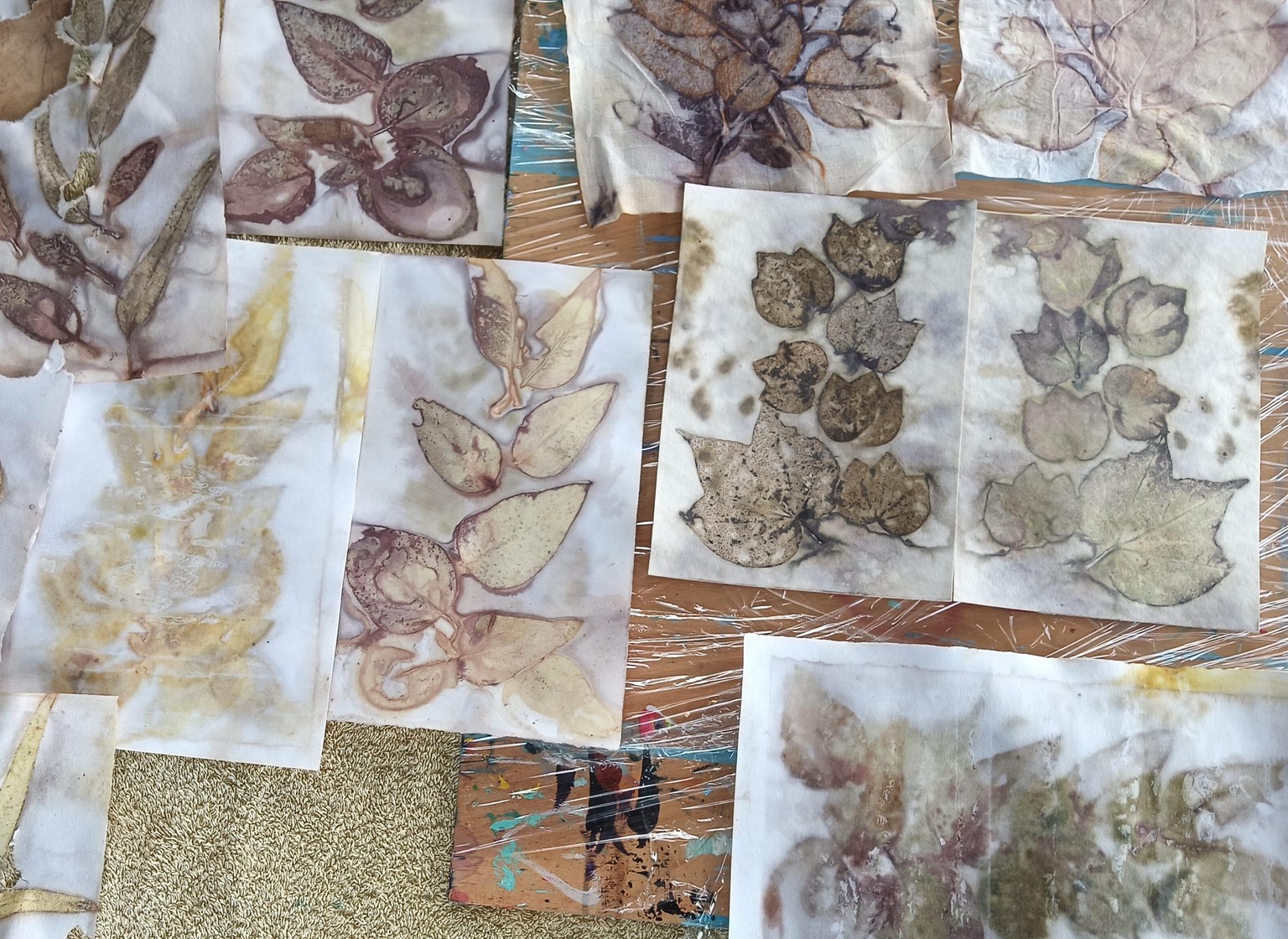 Botanical prints - image 4 - student project