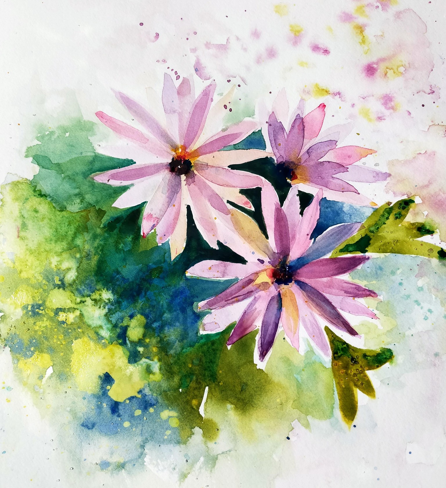 African Daisies - image 1 - student project