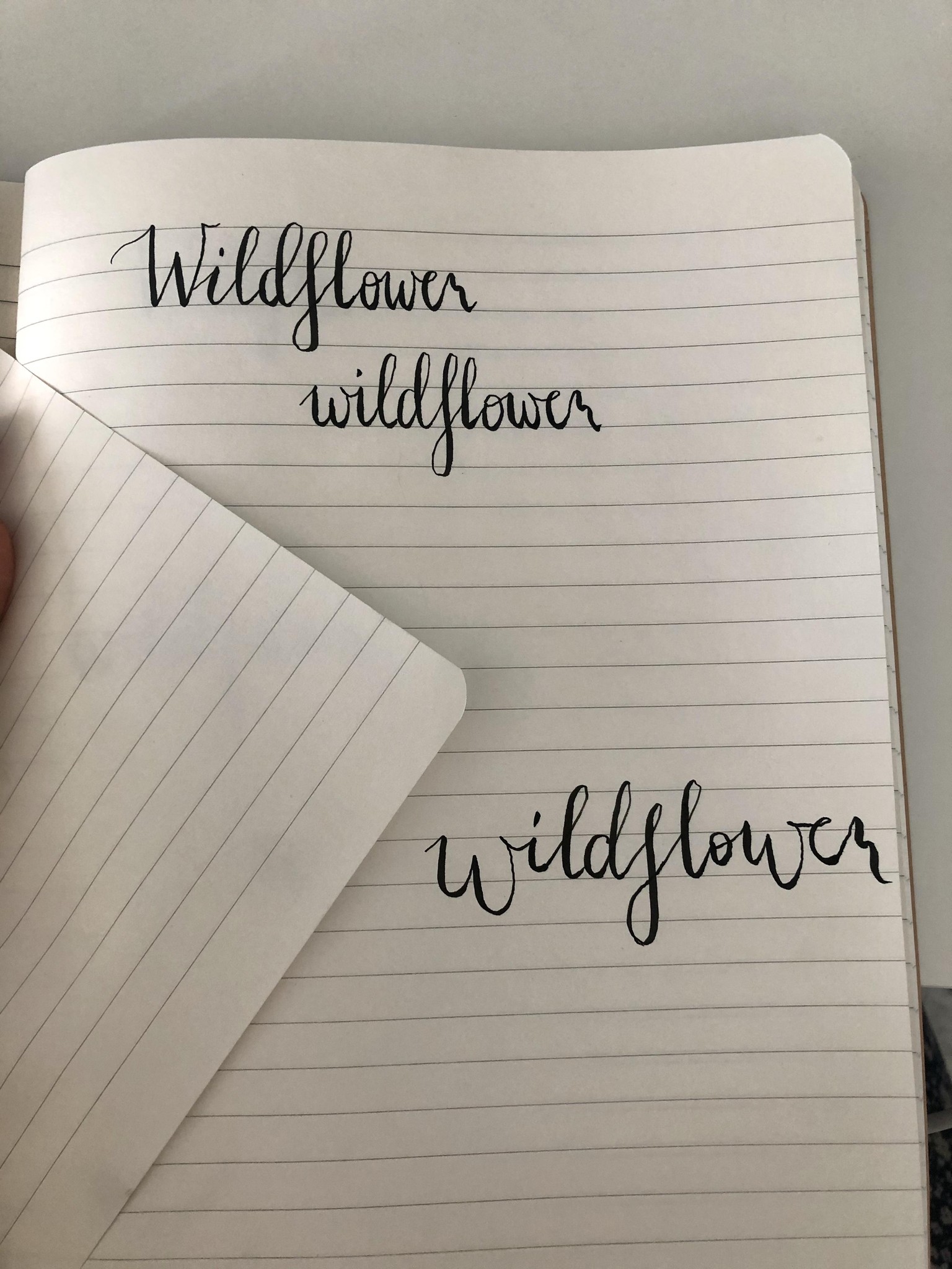 fav. word - image 1 - student project