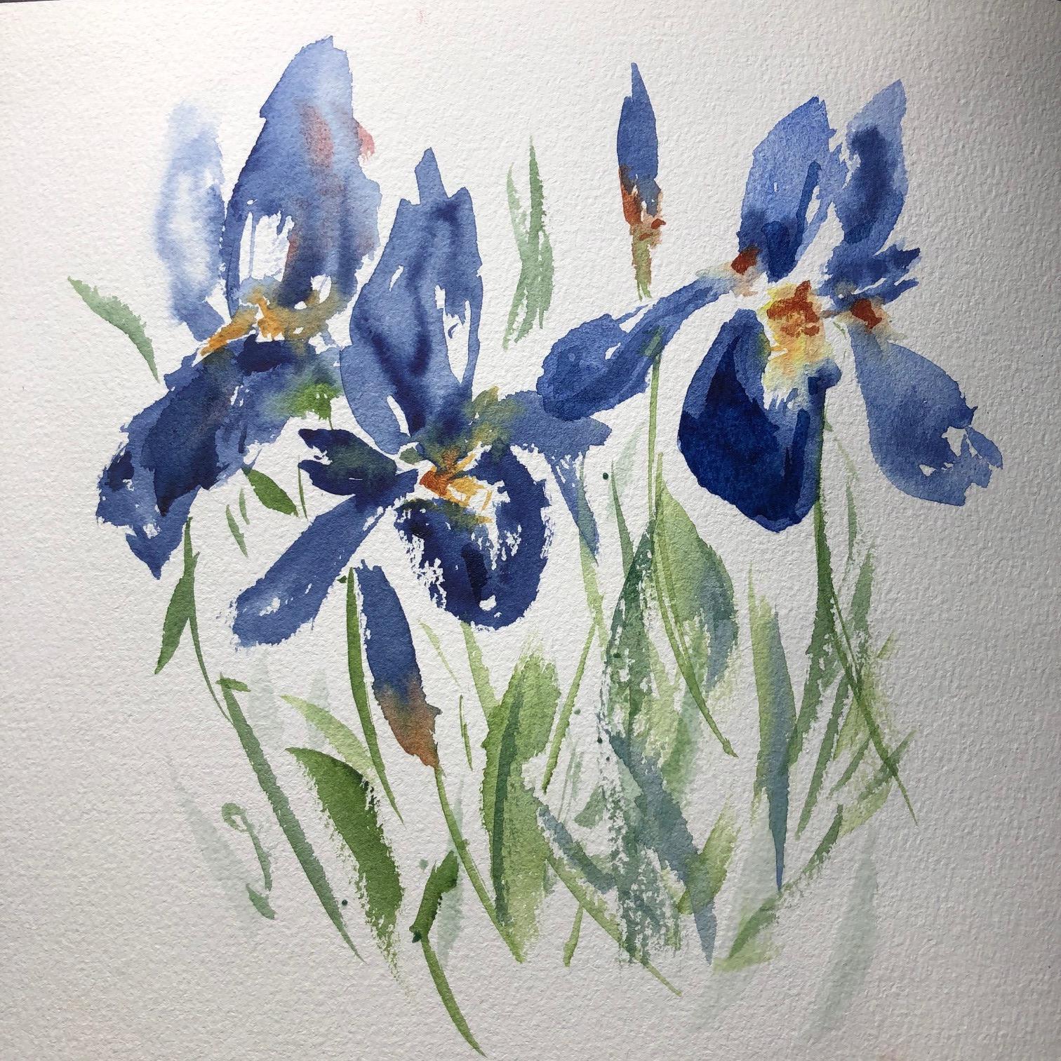 Iris - image 1 - student project