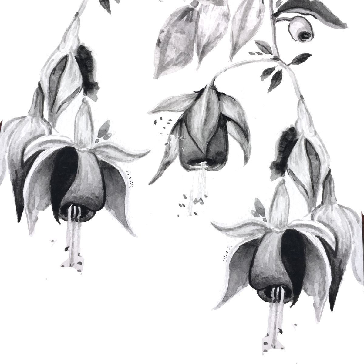 Flowers from Perú - image 1 - student project