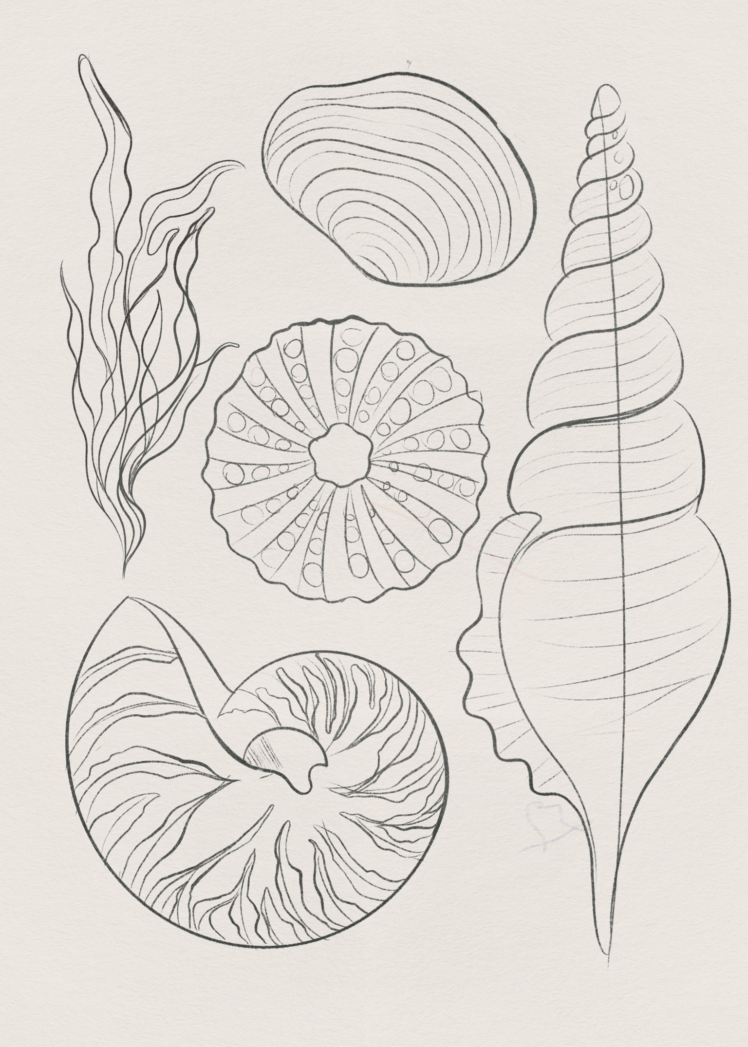 Spe-shell Mom - image 2 - student project