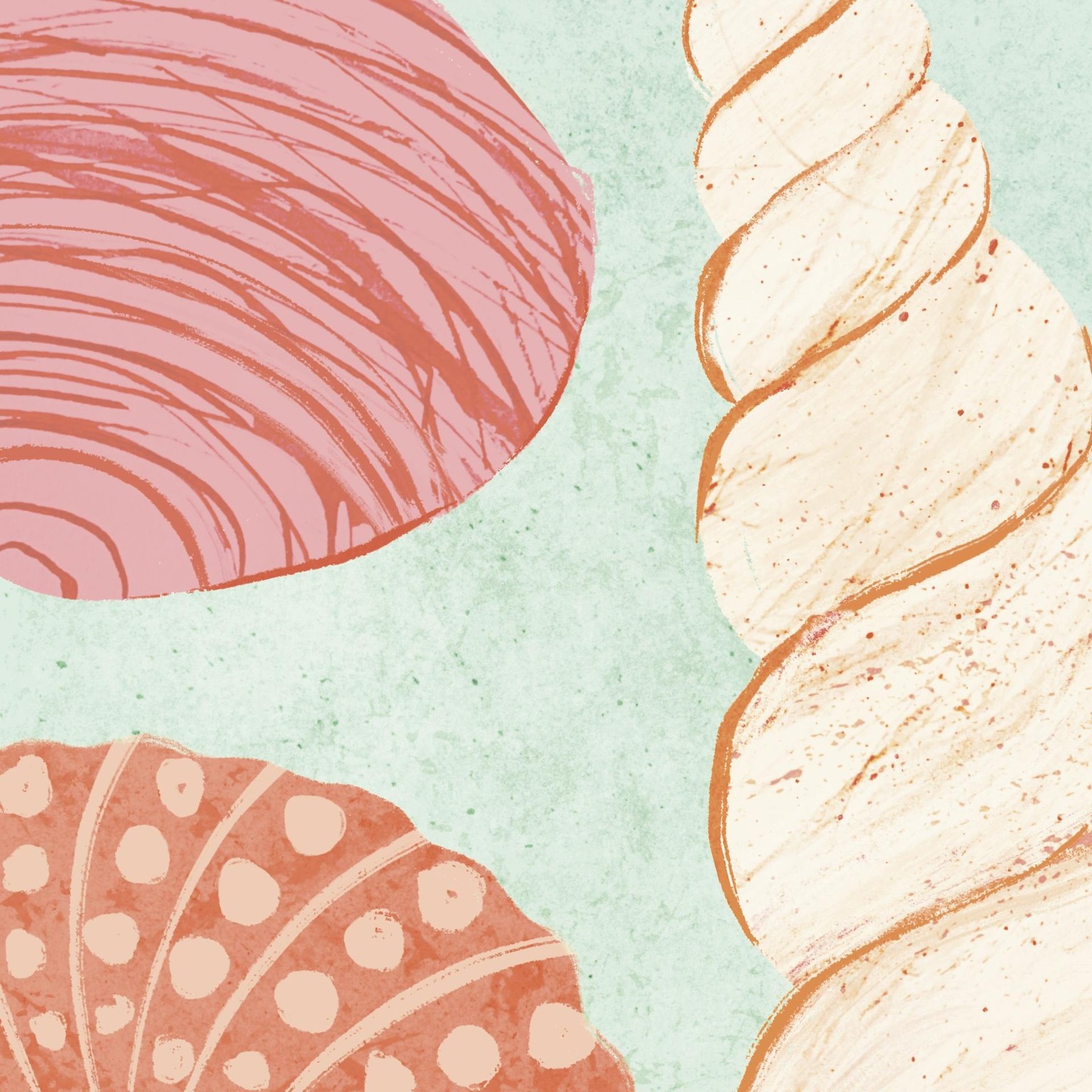 Spe-shell Mom - image 3 - student project