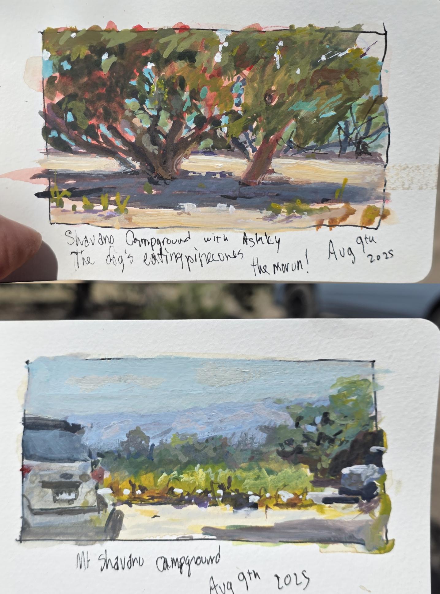Painting in Colorado using the exact gouache/watercolor setup - image 1 - student project