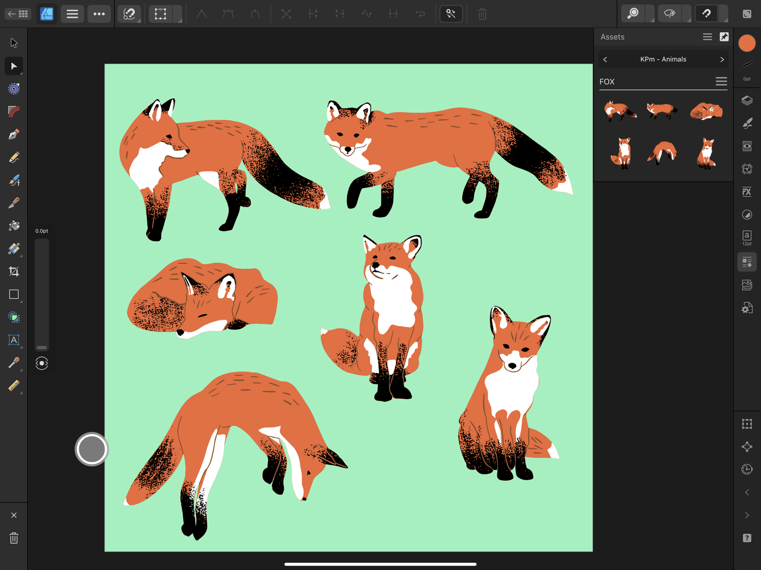 KPm Foxes - image 1 - student project