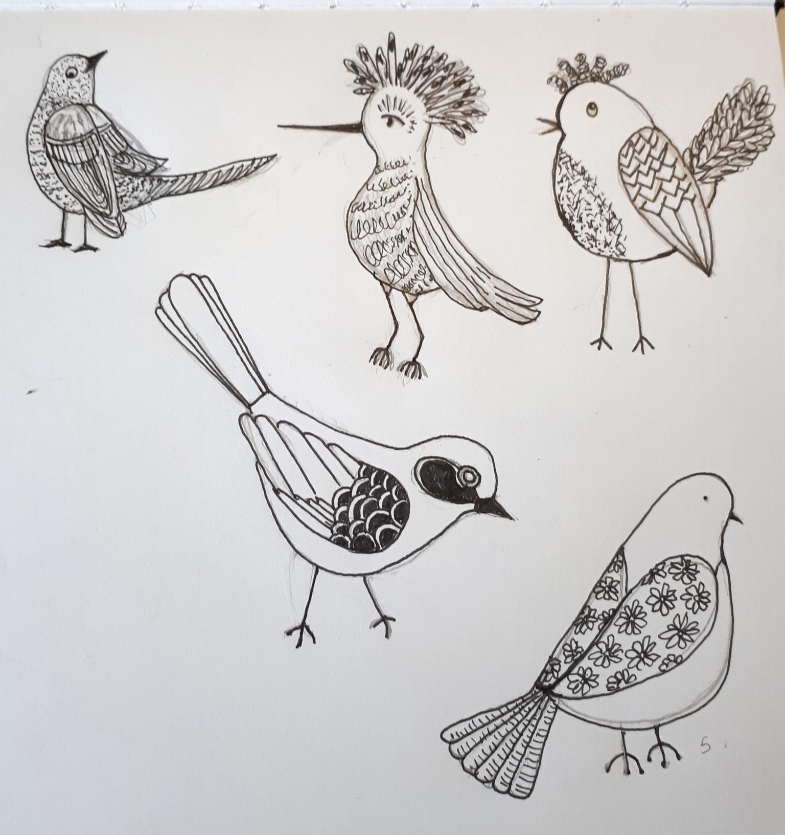 Birds with lots of Personalities..4 sets - image 1 - student project