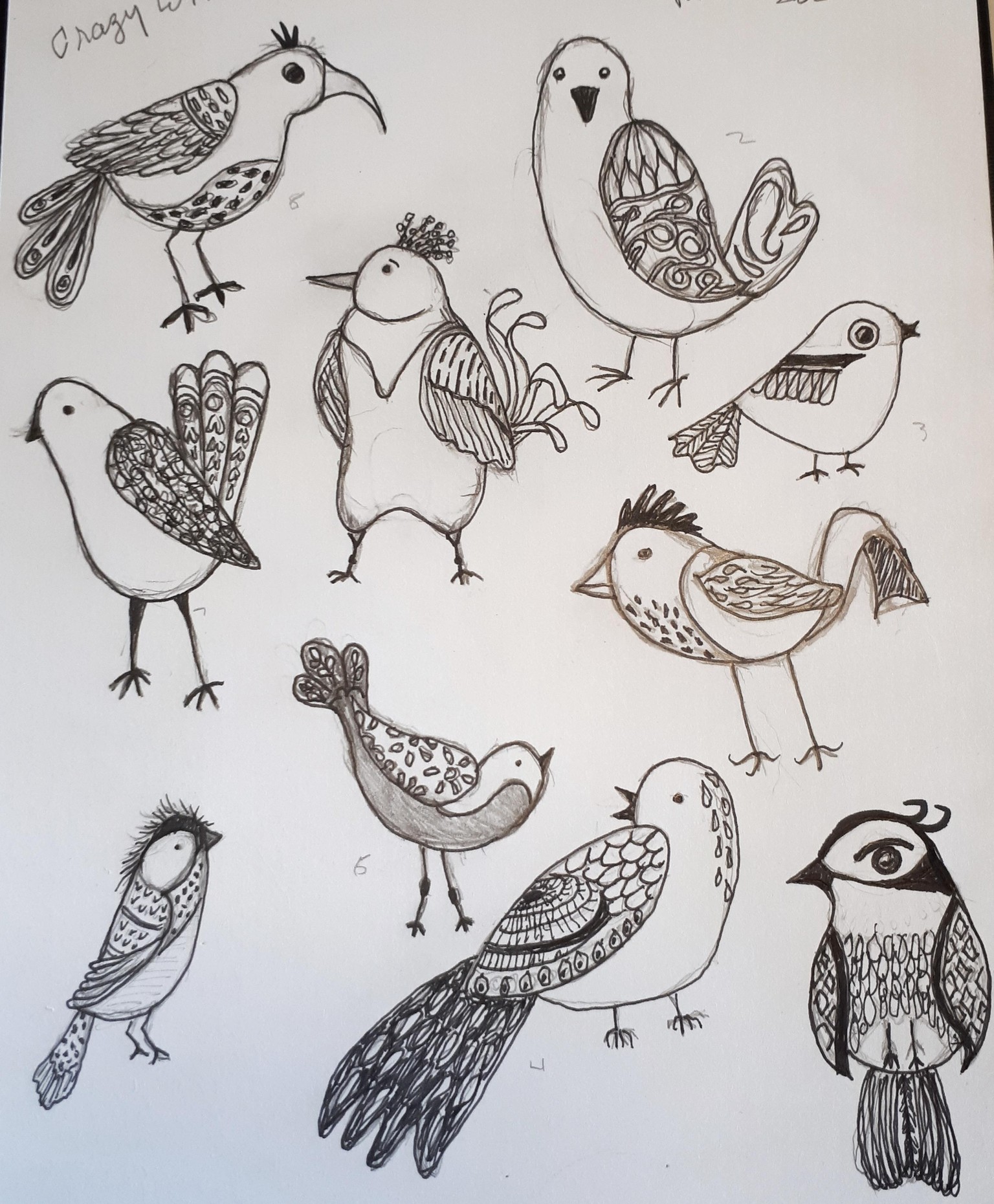 Birds with lots of Personalities..4 sets - image 2 - student project