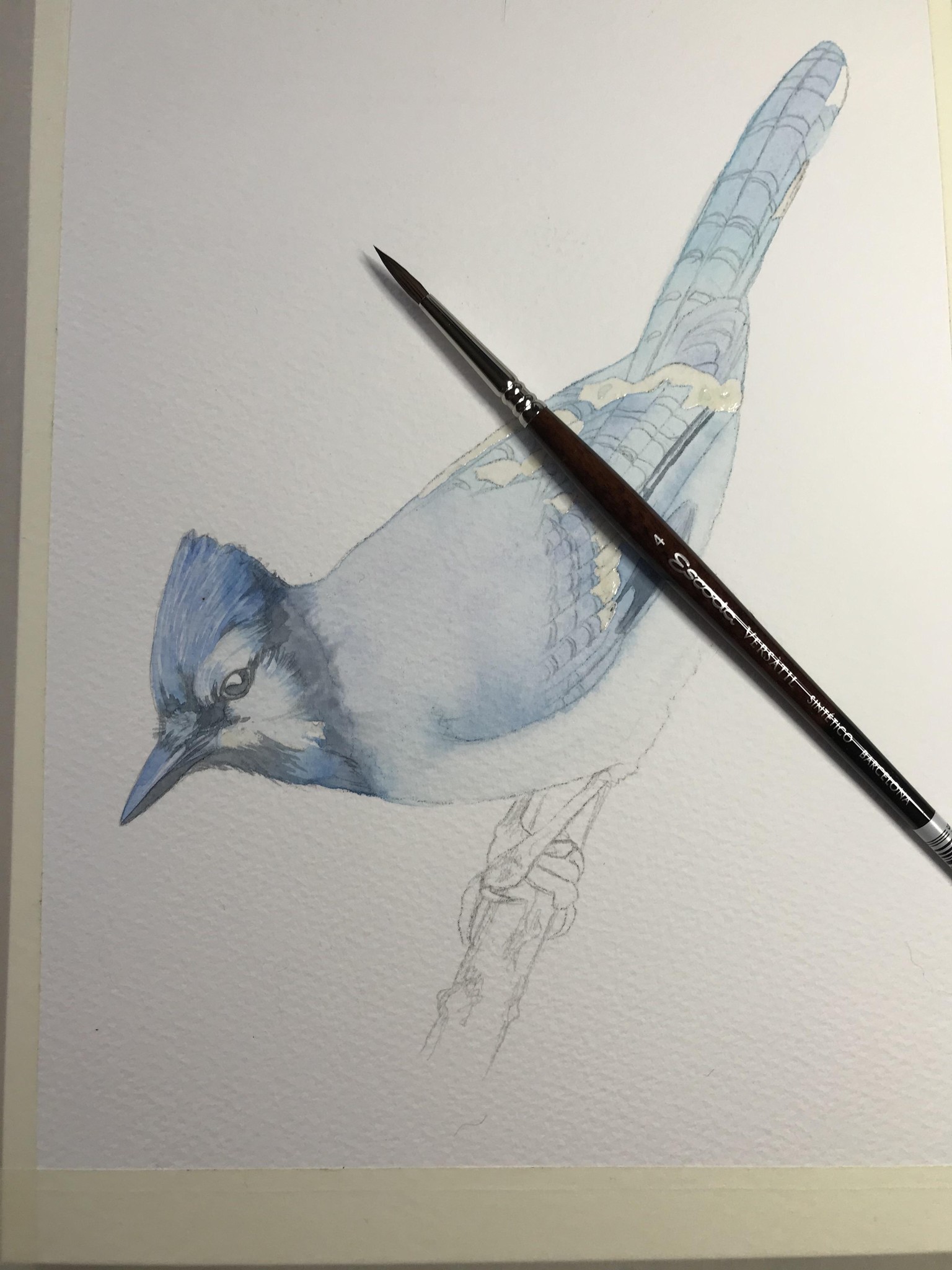 Blue Jay - image 5 - student project
