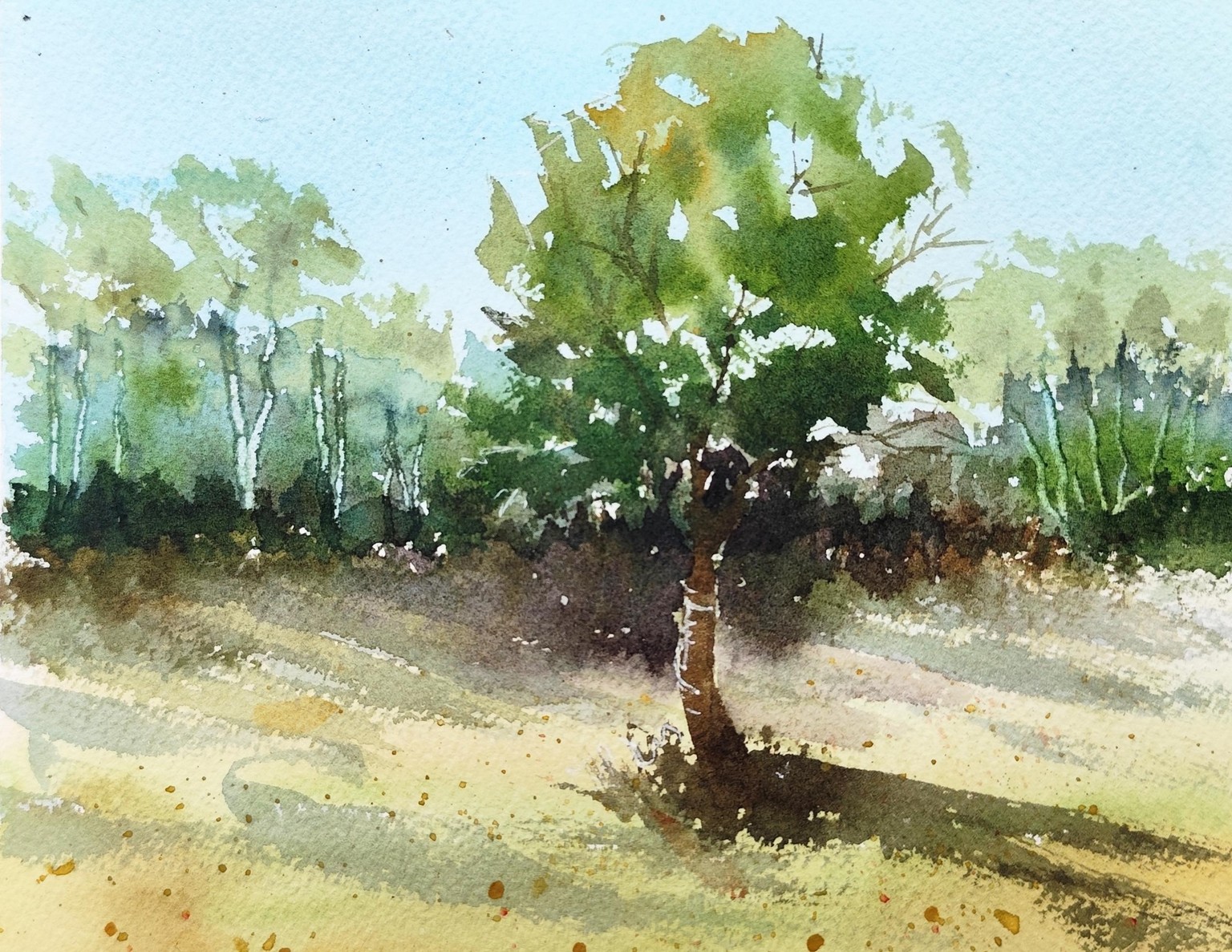 Trees Mian 2025 aug - image 2 - student project
