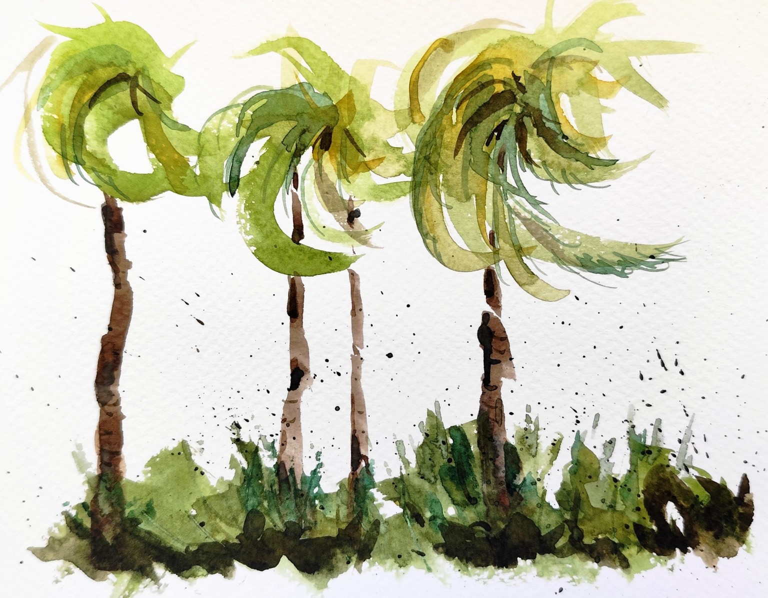 Trees Mian 2025 aug - image 1 - student project