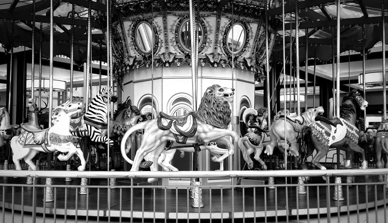 iPhone Photography - image 1 - student project
